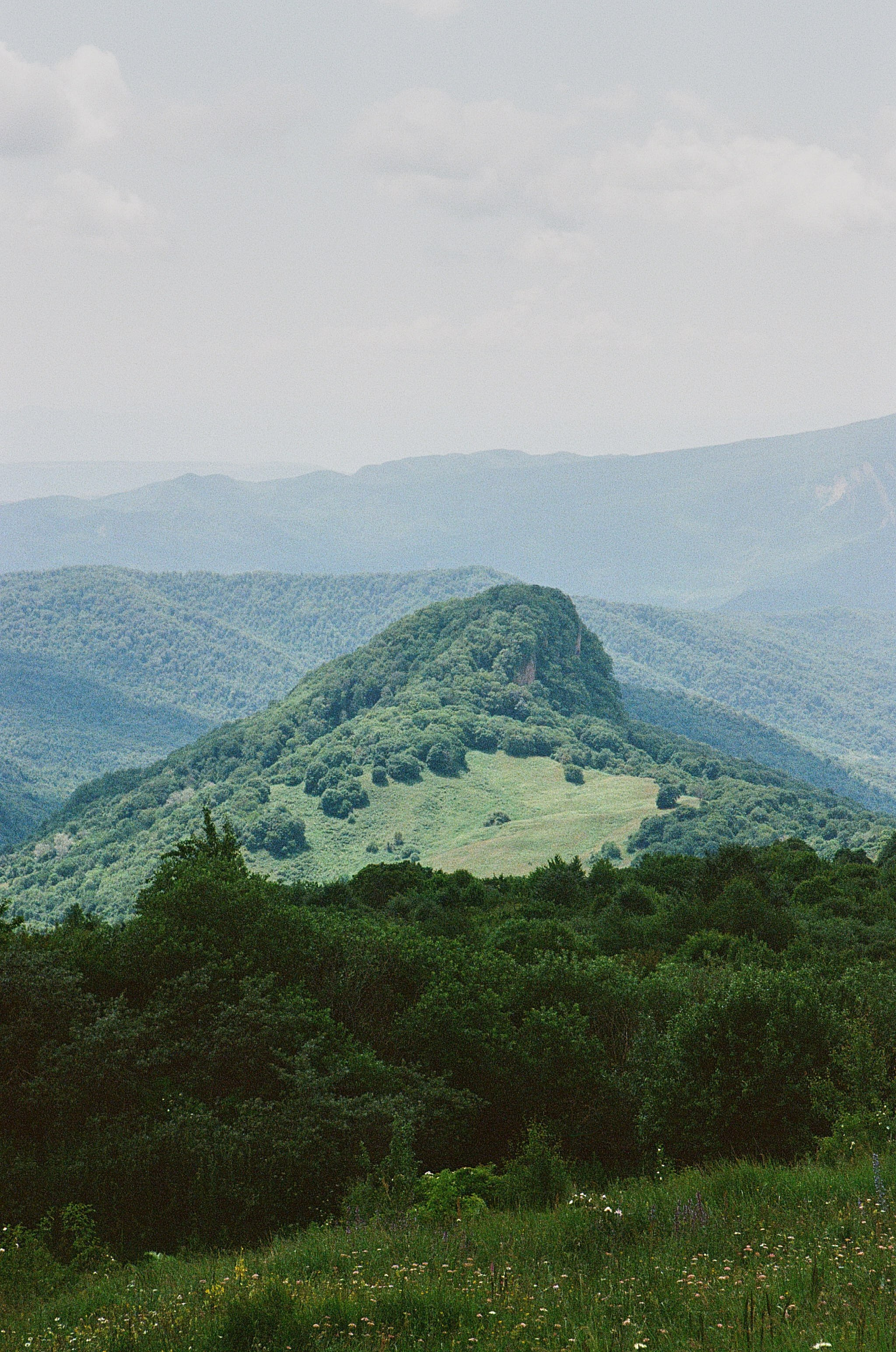 ГРУЗИЯ. ПРИРОДА.25. Профессиональный фотограф Федотова Арина