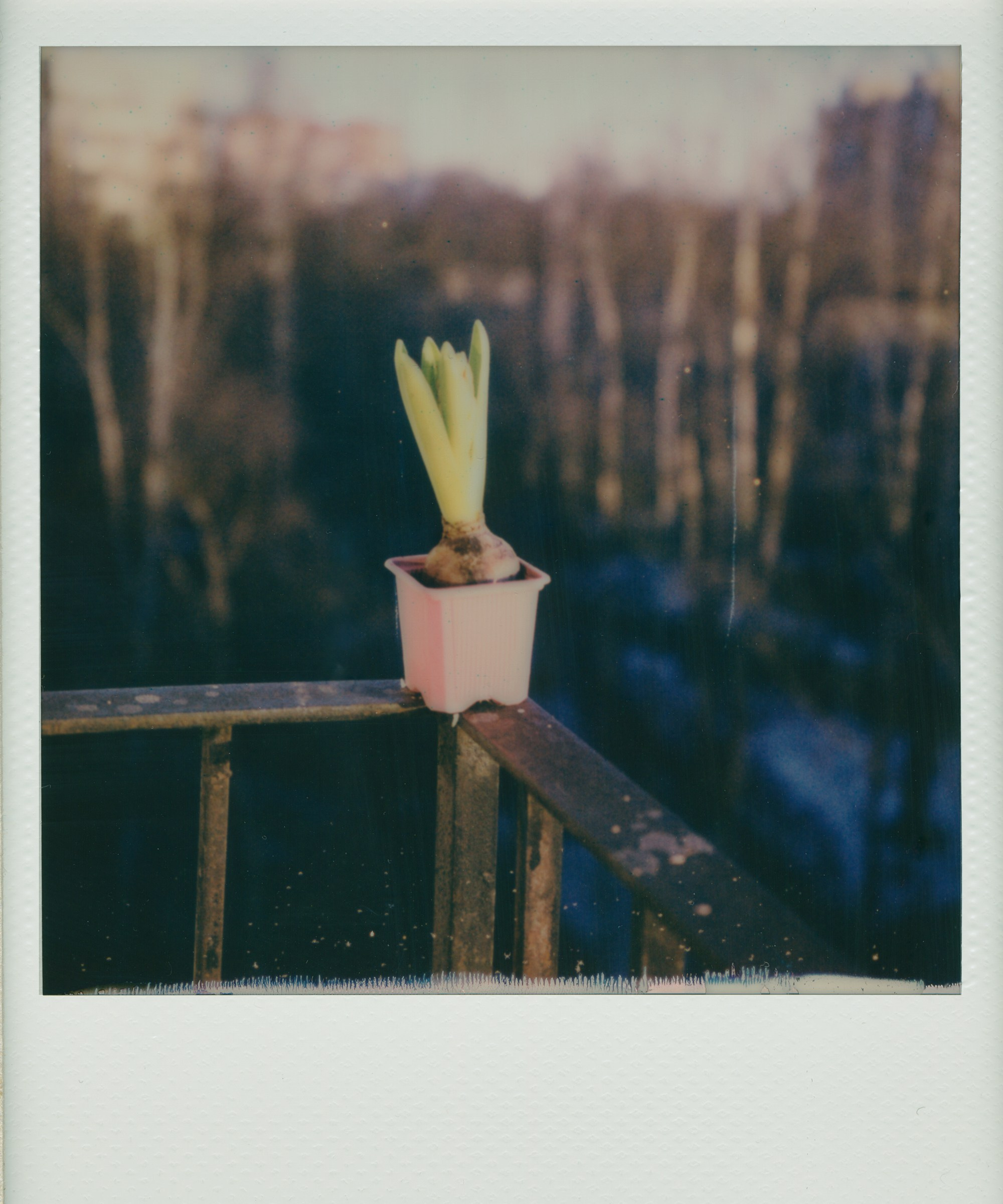 Mom's Diary. Заставка