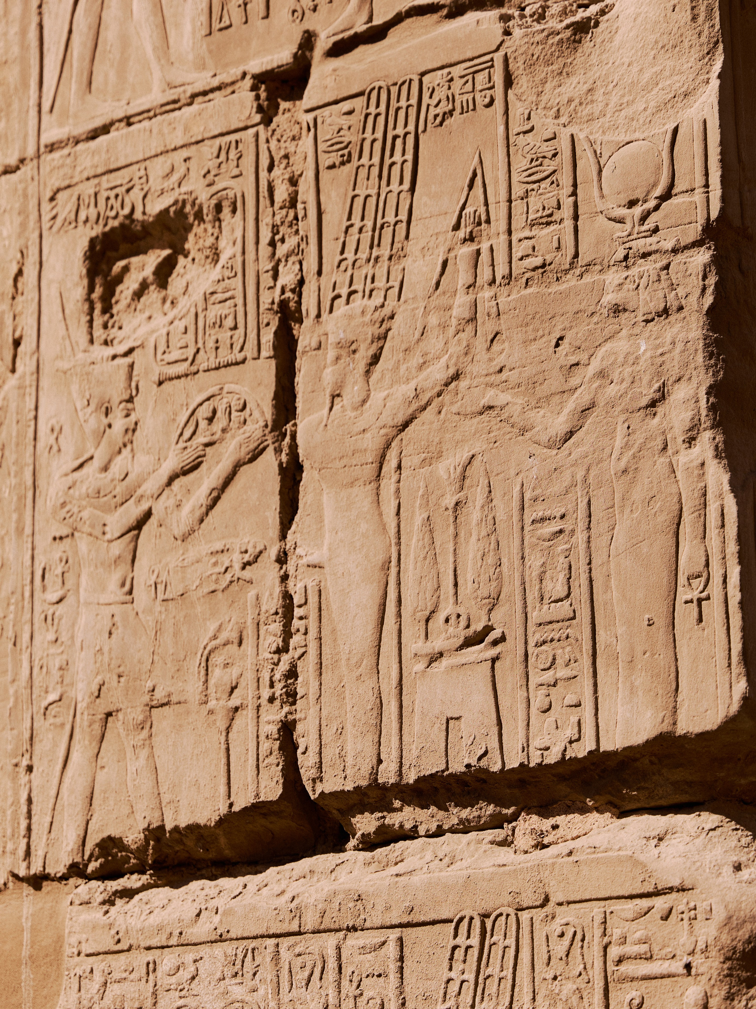 Другое 4. Jorgis — фотограф в Хургаде / обучение фотографии