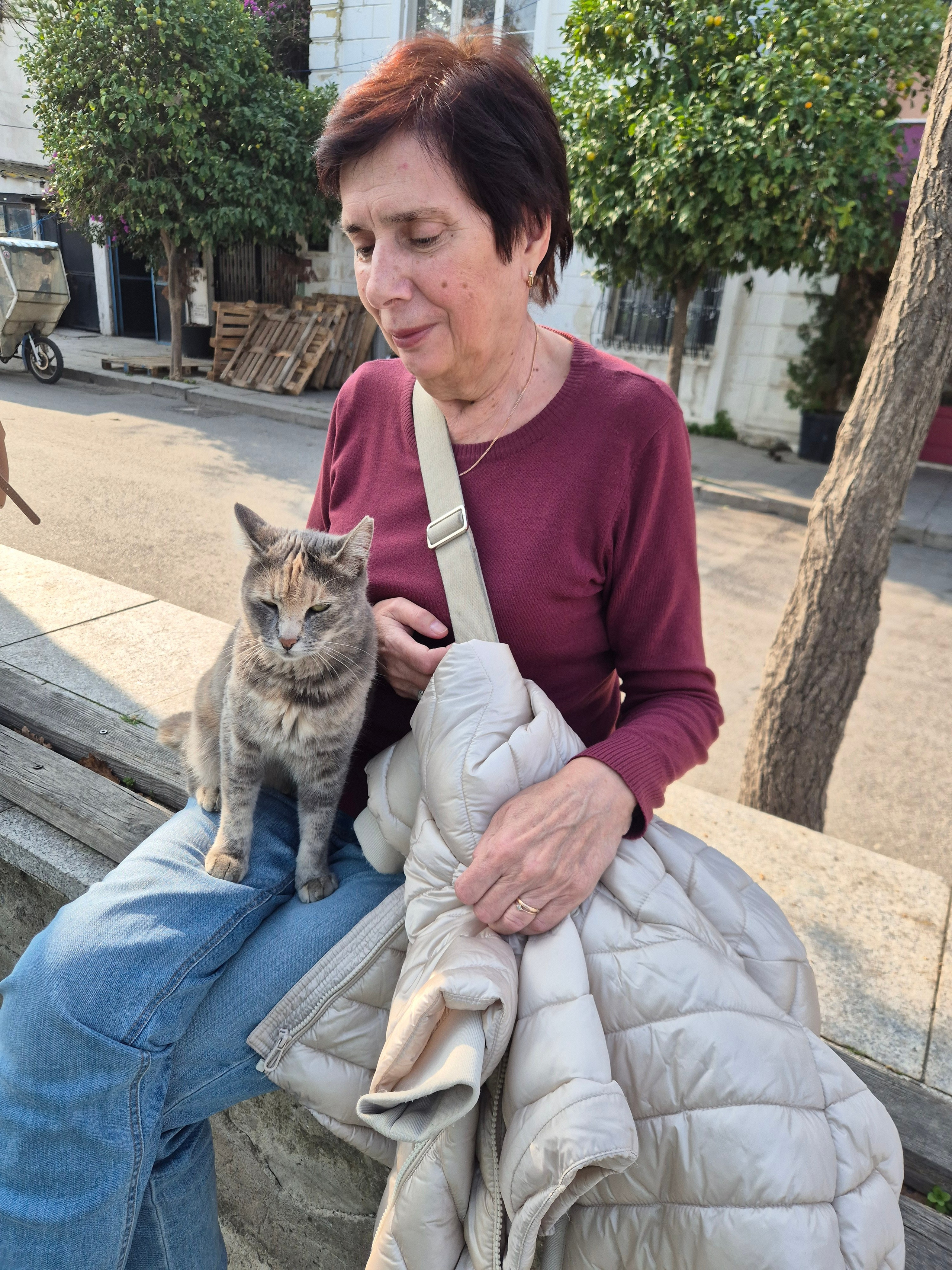 2 минуты и уже коты втерлись в полное доверие