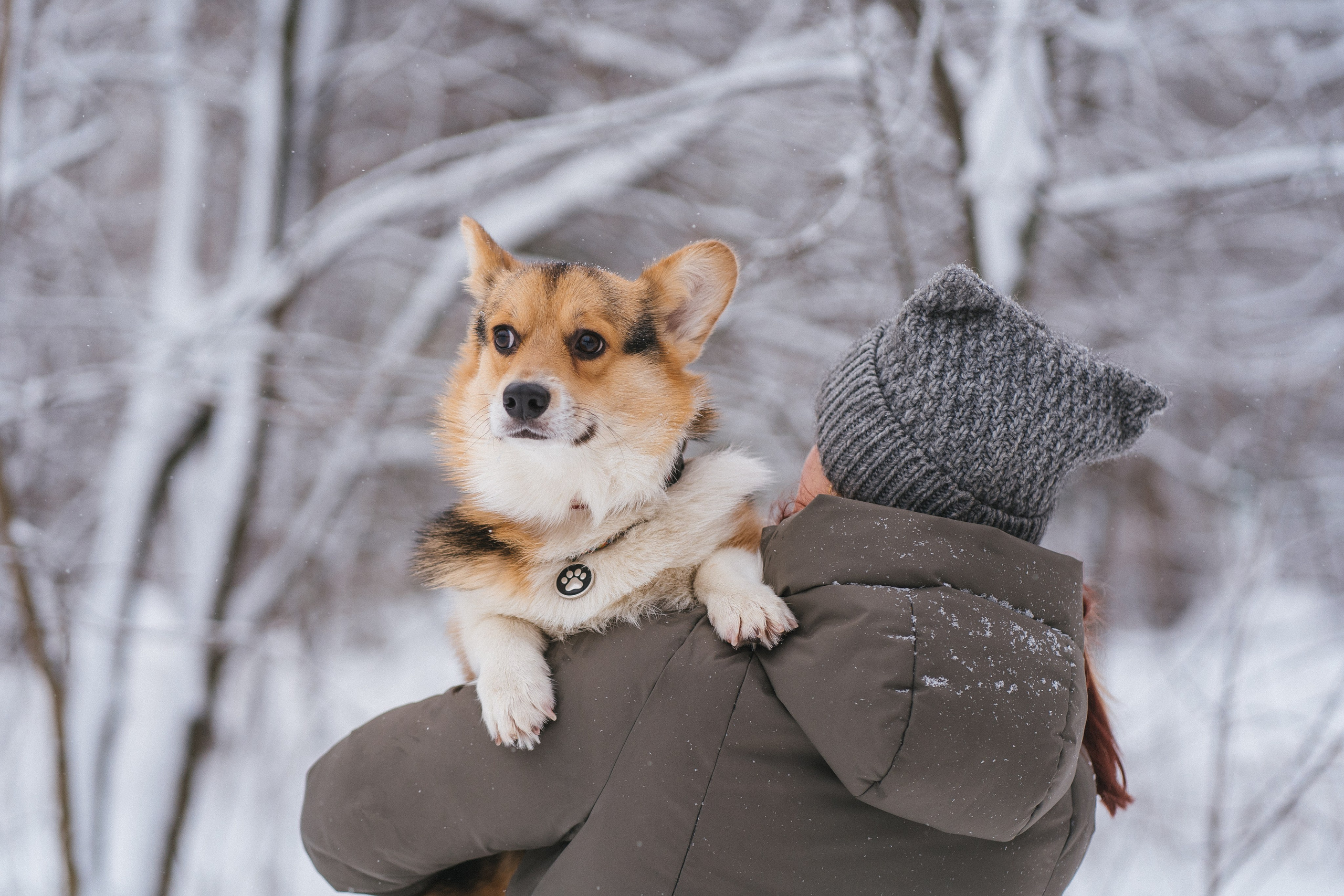 Каспер и Полина. Свадебный фотограф в Москве Анна Полушина