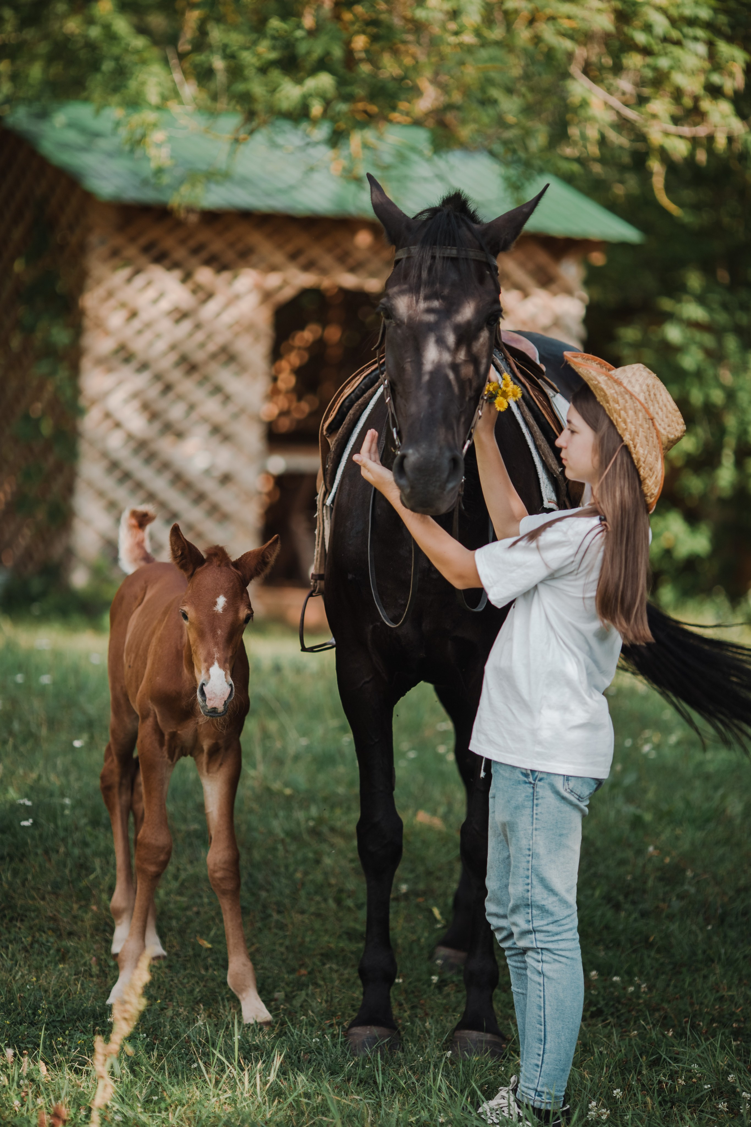 Семья на конной ферме. Свадебный и семейный фотограф Екатерина Бубнова