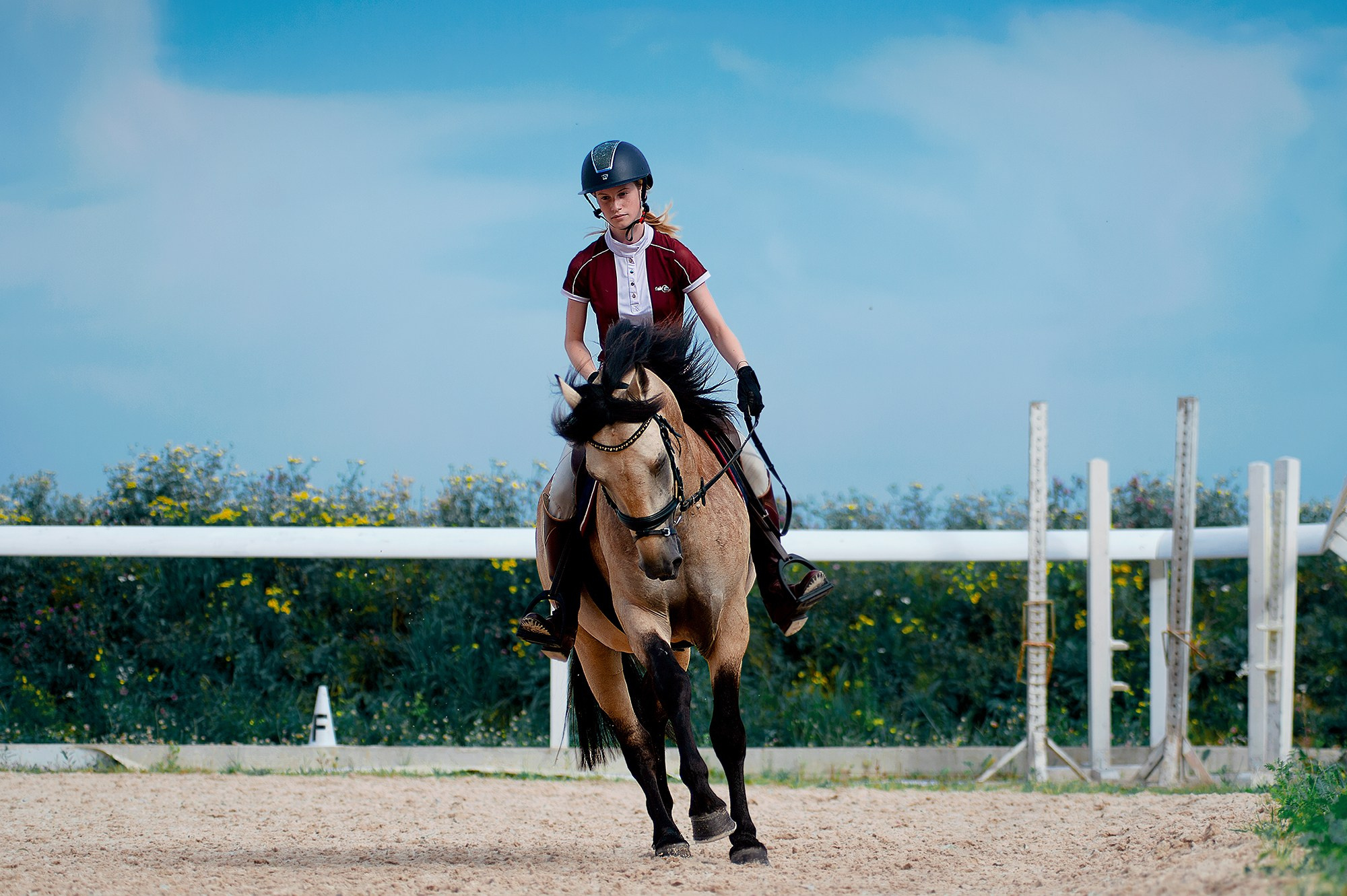 Тренировки. Конный фотограф Alesya Safe