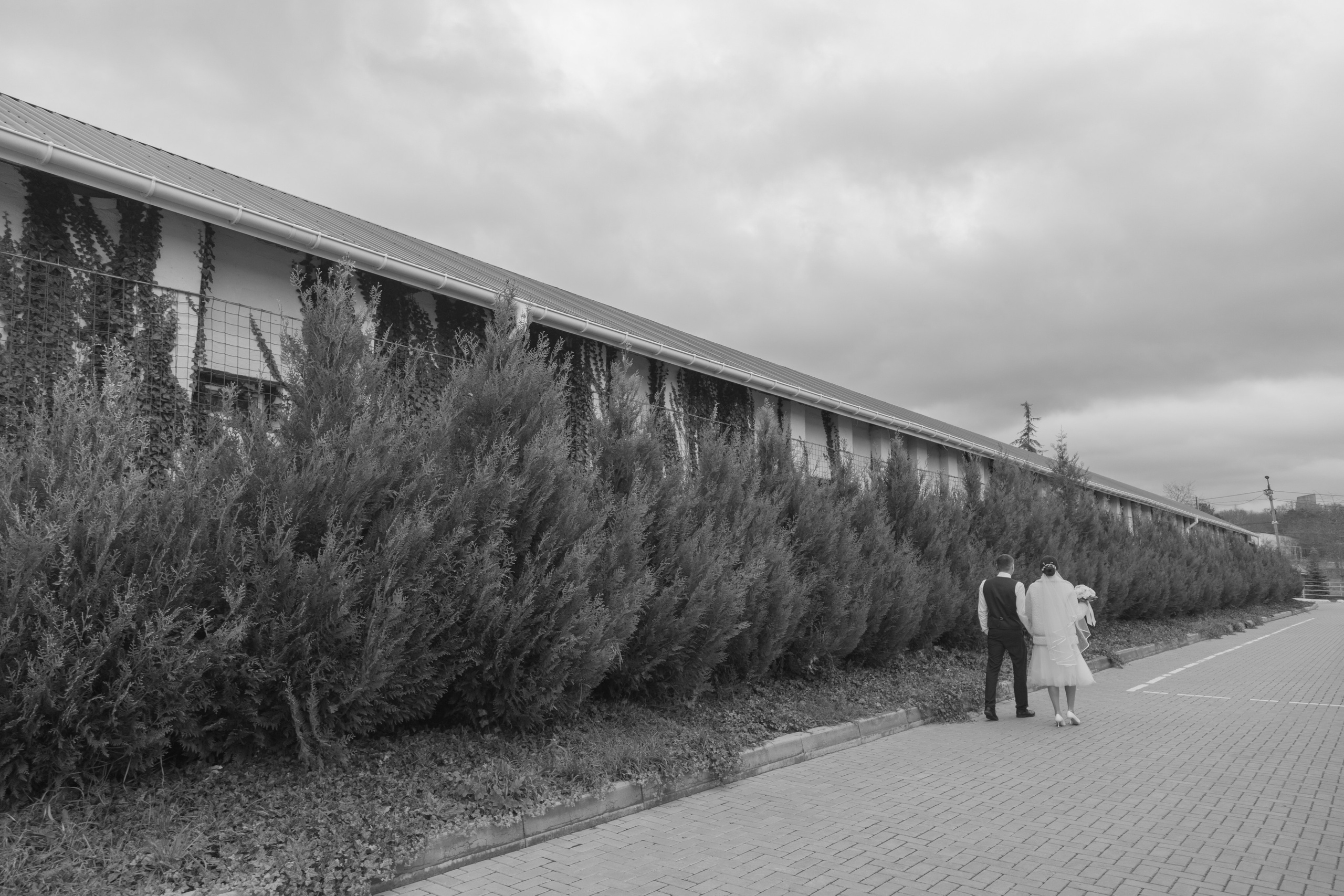 Свадебная съемка в Крыму. Свадебный фотограф в Симферополе (Крым) Валерия Воловидник