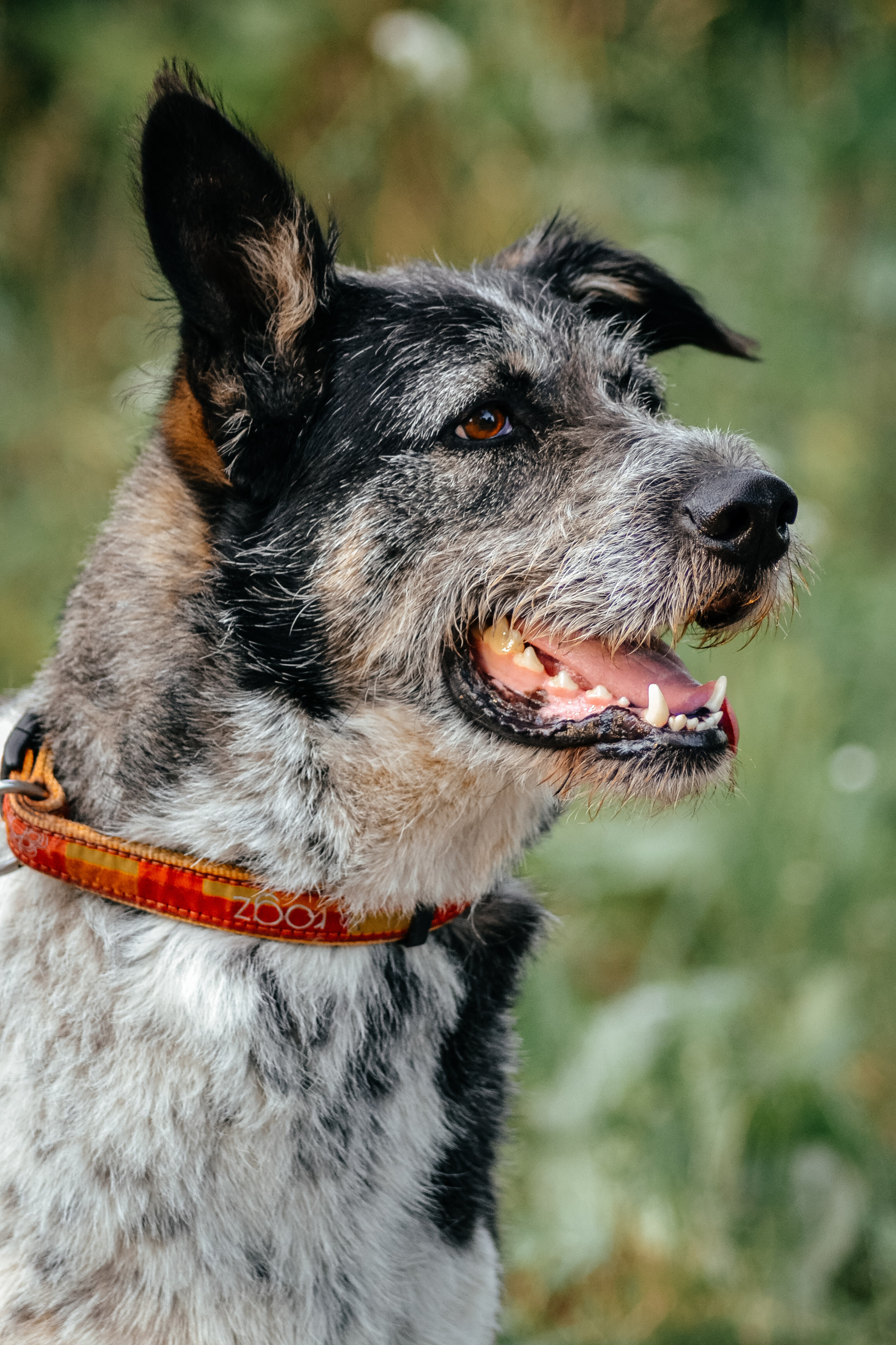 LifeStyle фотограф Анна Воробьёва Санкт-Петербург