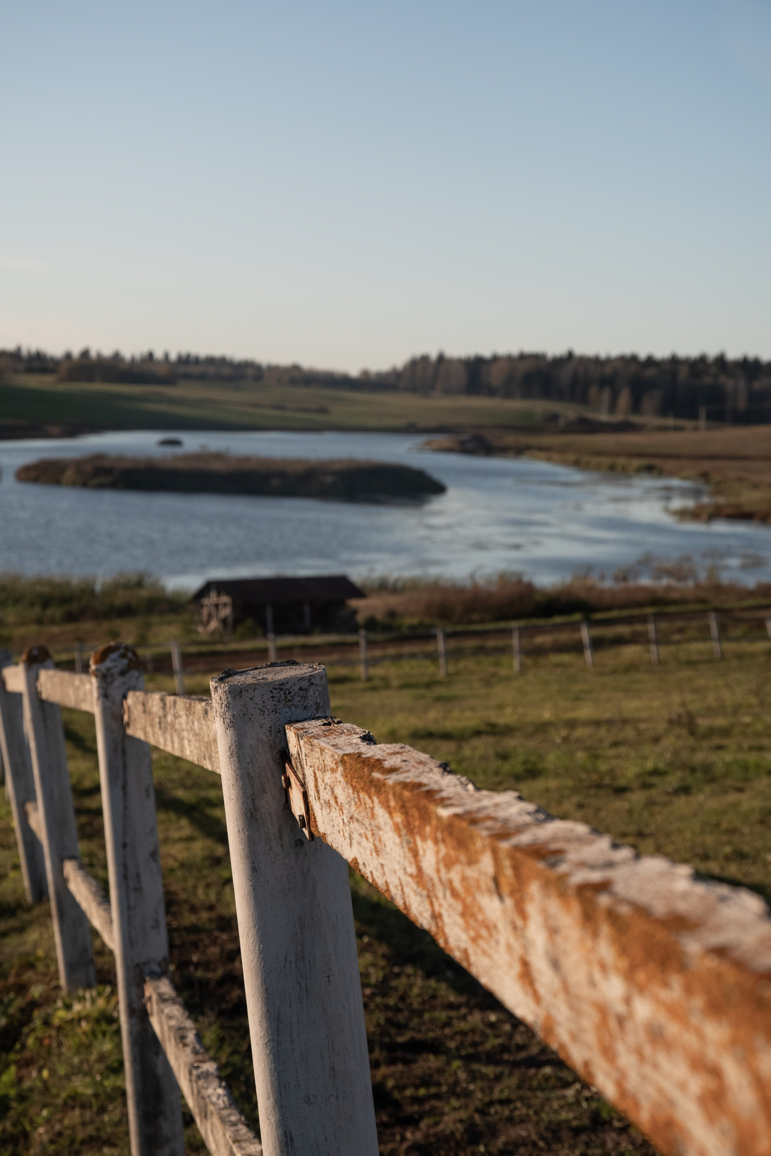 Корпоратив и оформление фотозоны в стиле ранчо). Фотограф Светлана Воронцова