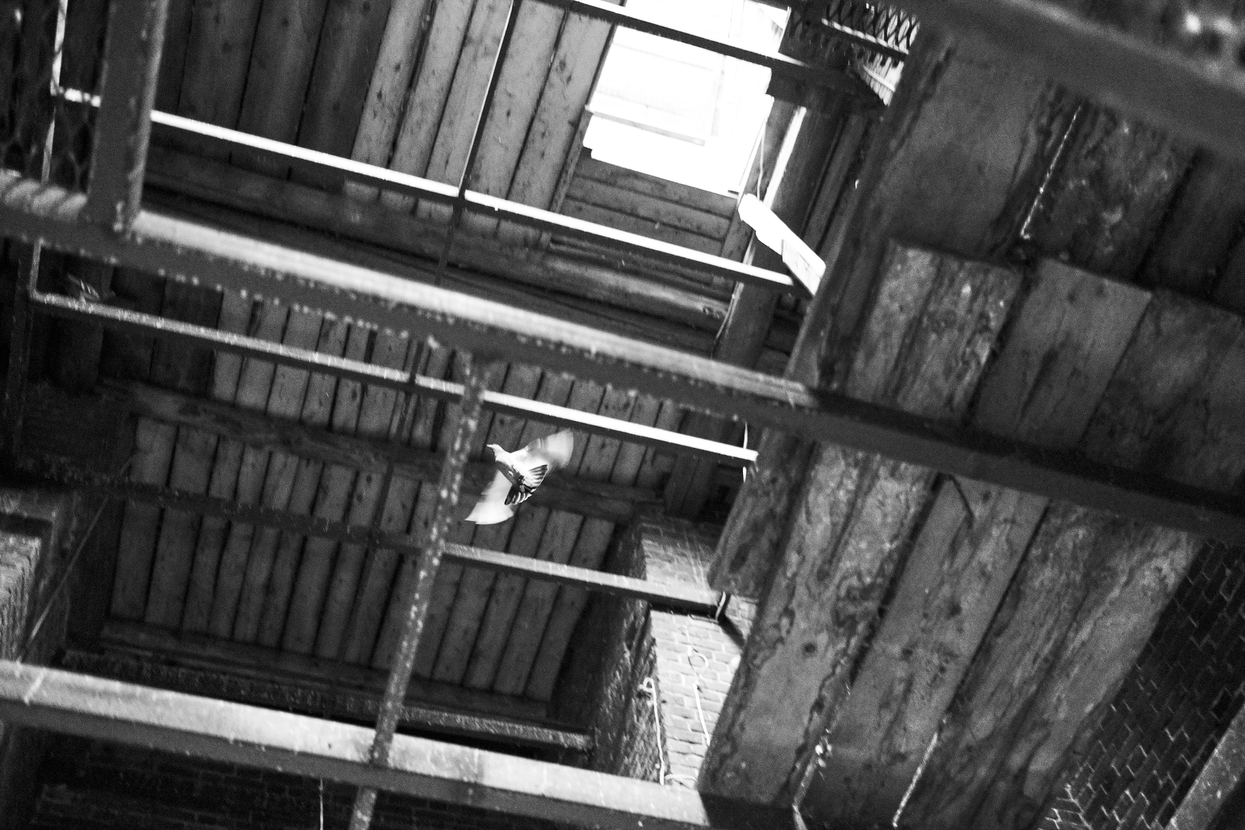 Церковный день. Unposed Society Moscow | Фотограф Аникин Станислав