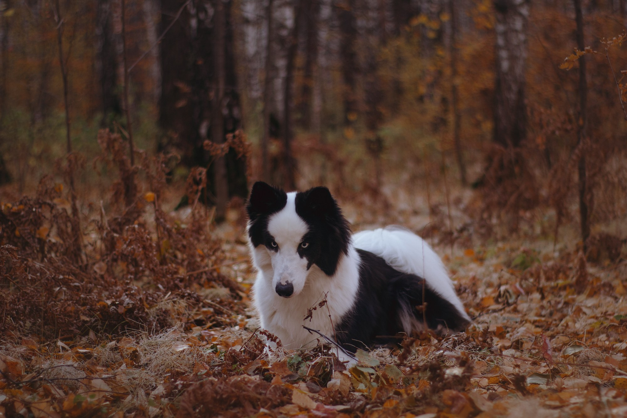 Ликёр. Фотограф в Тюмени Лизавета Сапицкая