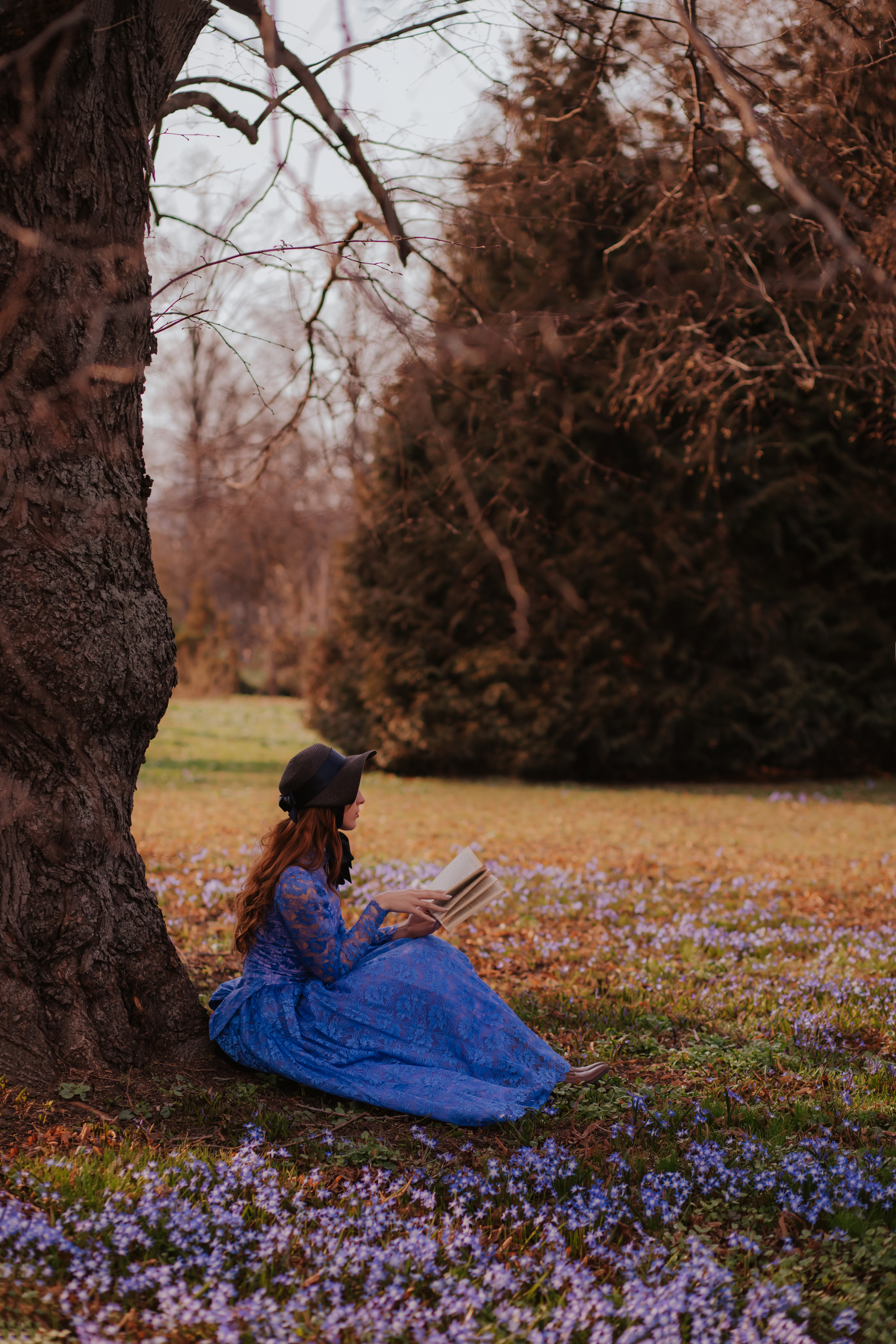 Первоцветы в саду. Художественная винтажная фотография