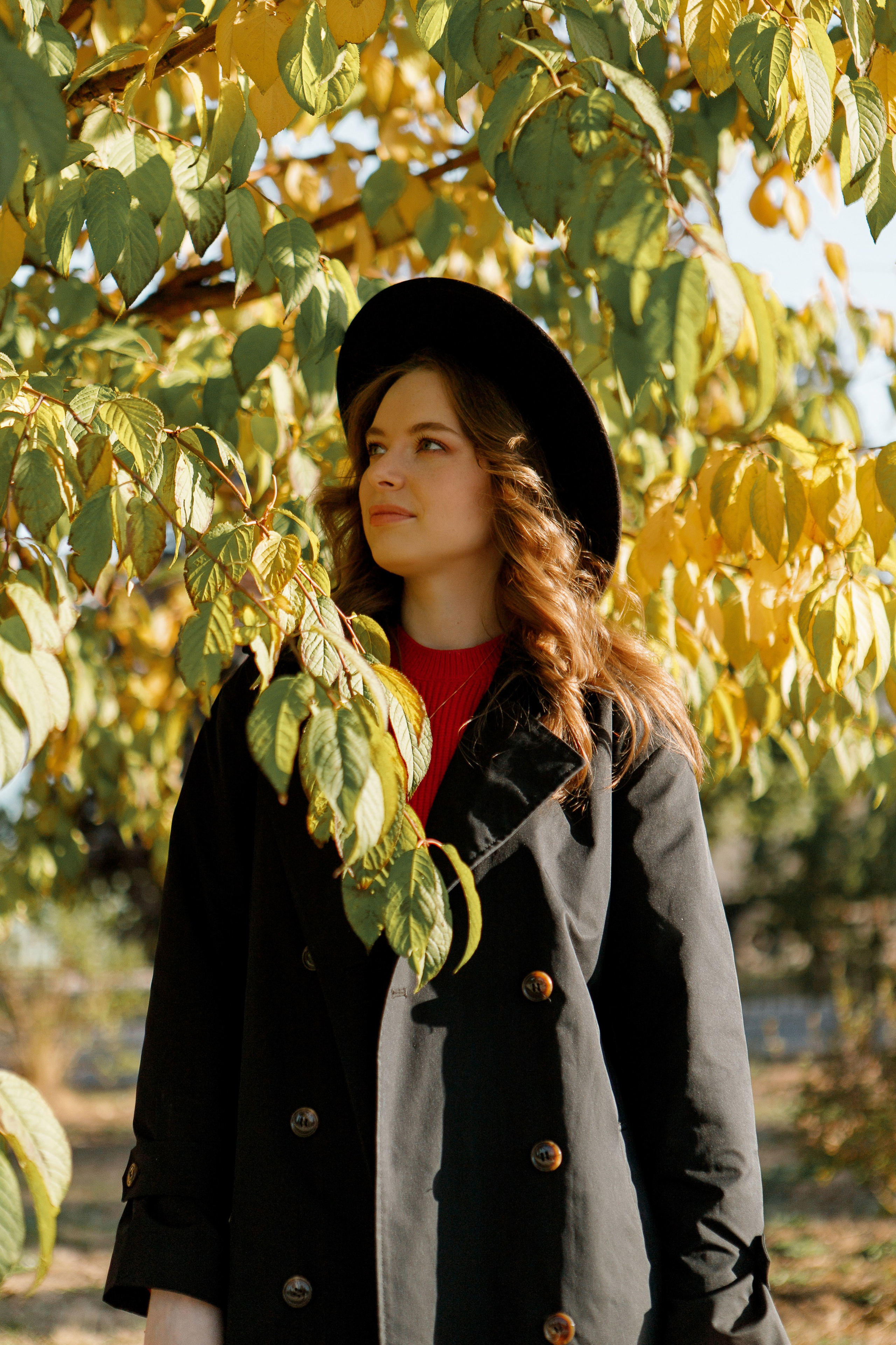 Осенняя съемка для Екатерины. Фотограф Анастасия Кулешова