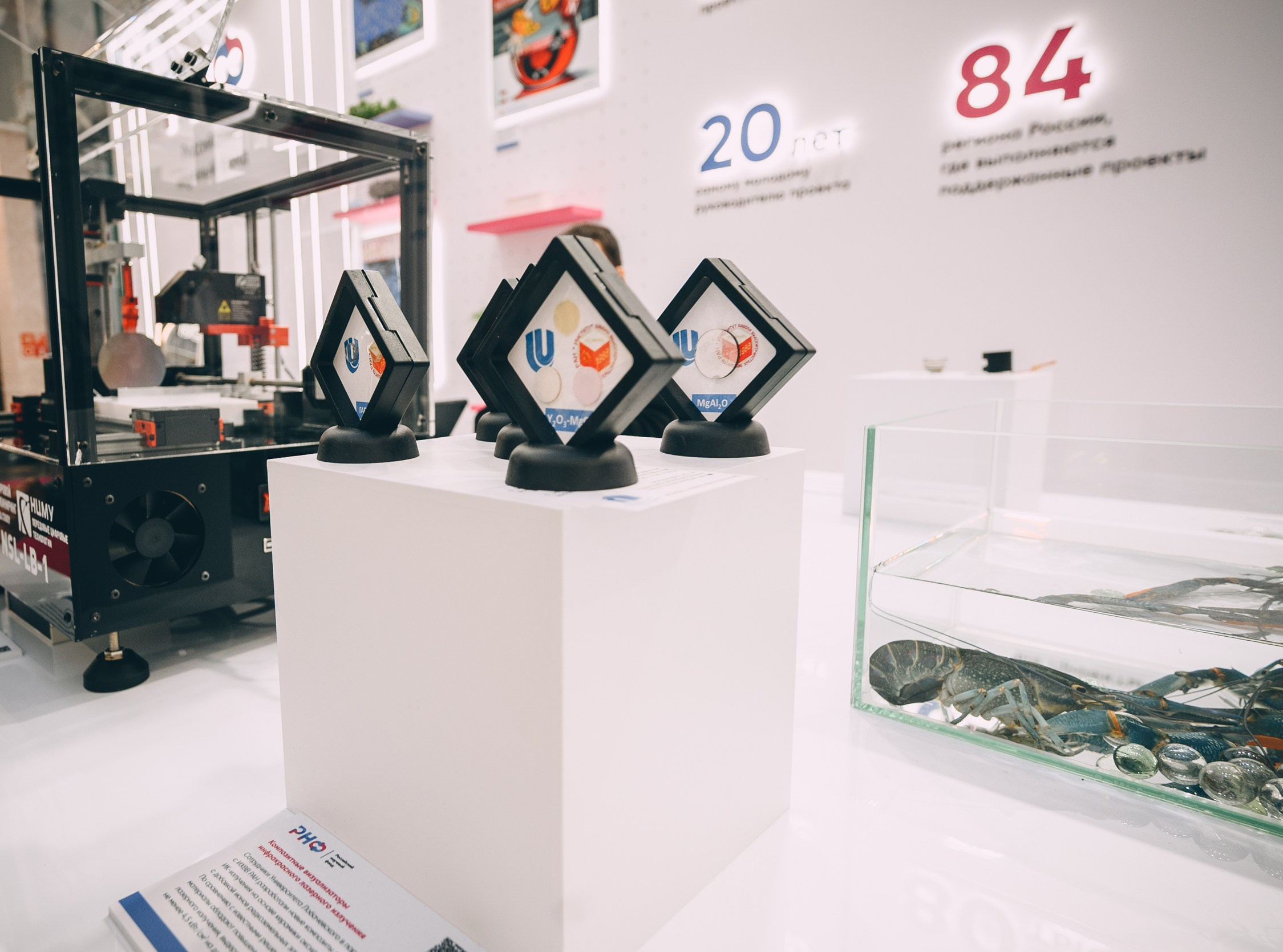 V Конгресс молодых ученых 2025. Свадебный и семейный фотограф София Невская