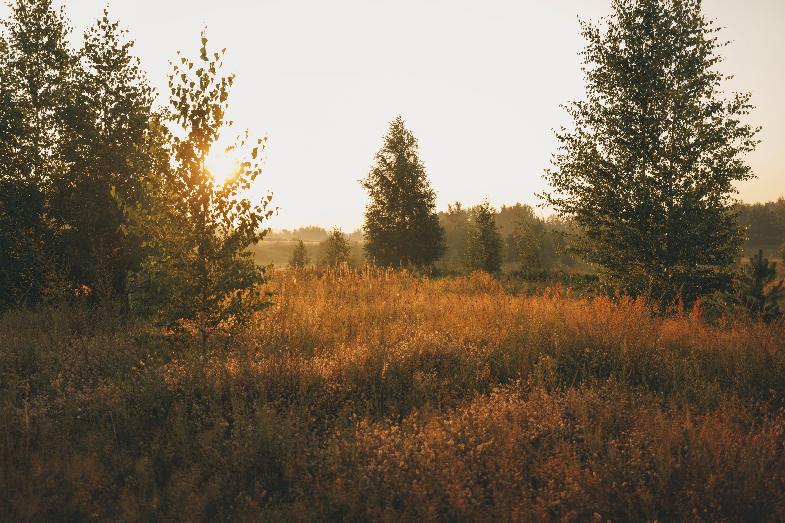 Сергей, Оксана и Жара. Фотограф анималист Осипчикова Мария