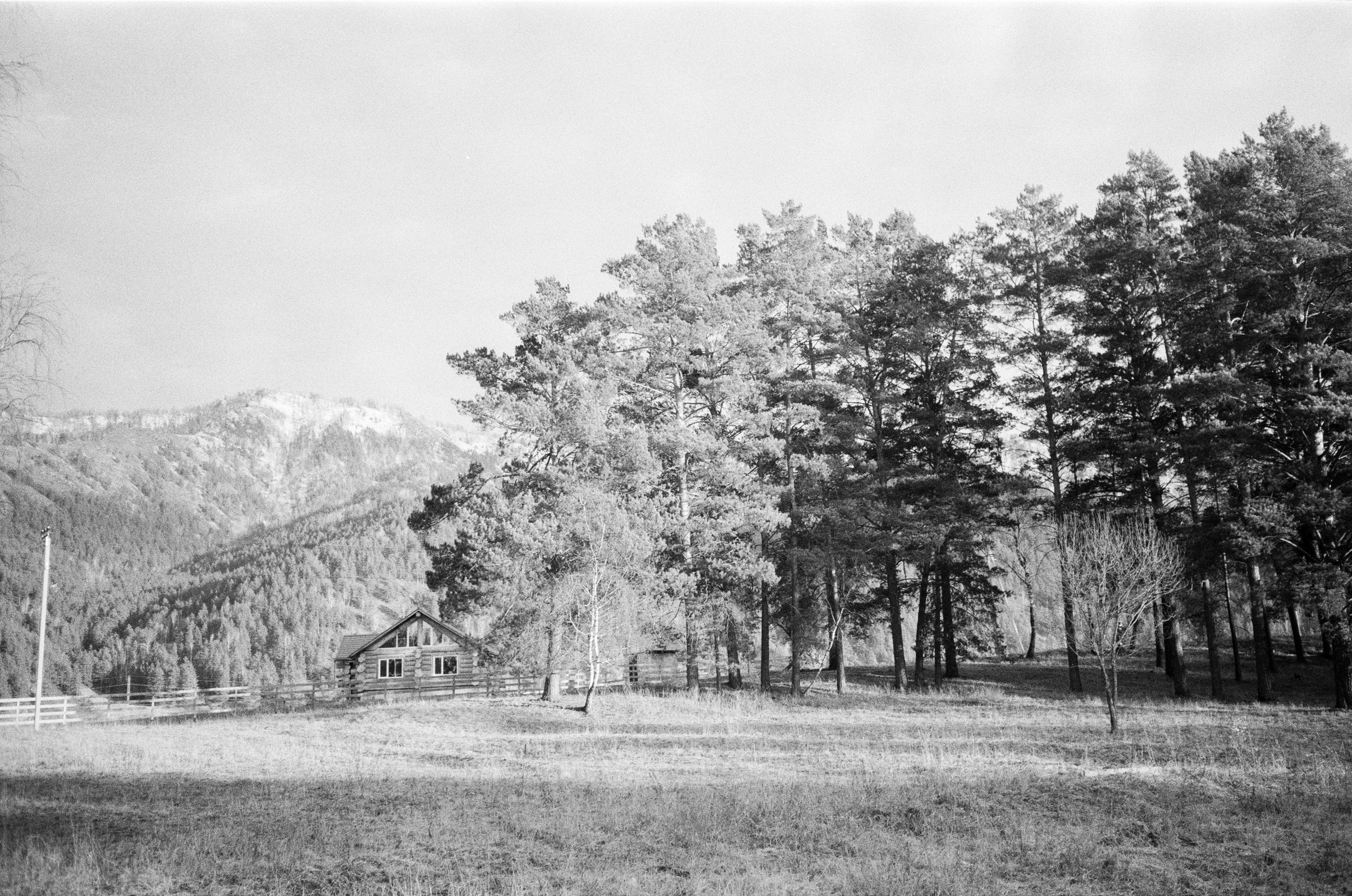 Olympus AF-10 SUPER / Ilford PAN 400 / Алтай, зима 2023 год