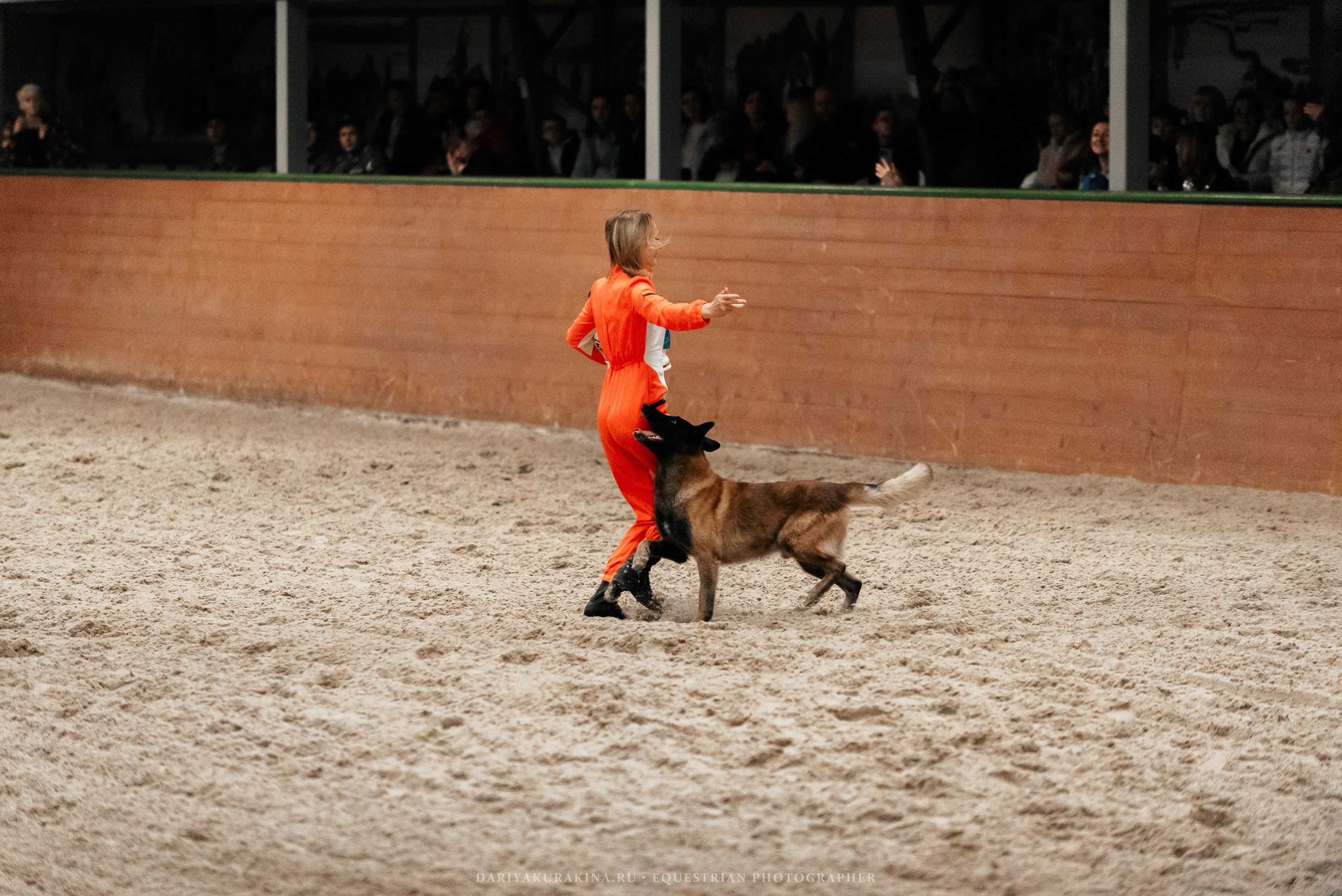 Конное представление «Дыхание Звёзд». Конный фотограф Куракина Дарья • Фотосессии с лошадьми