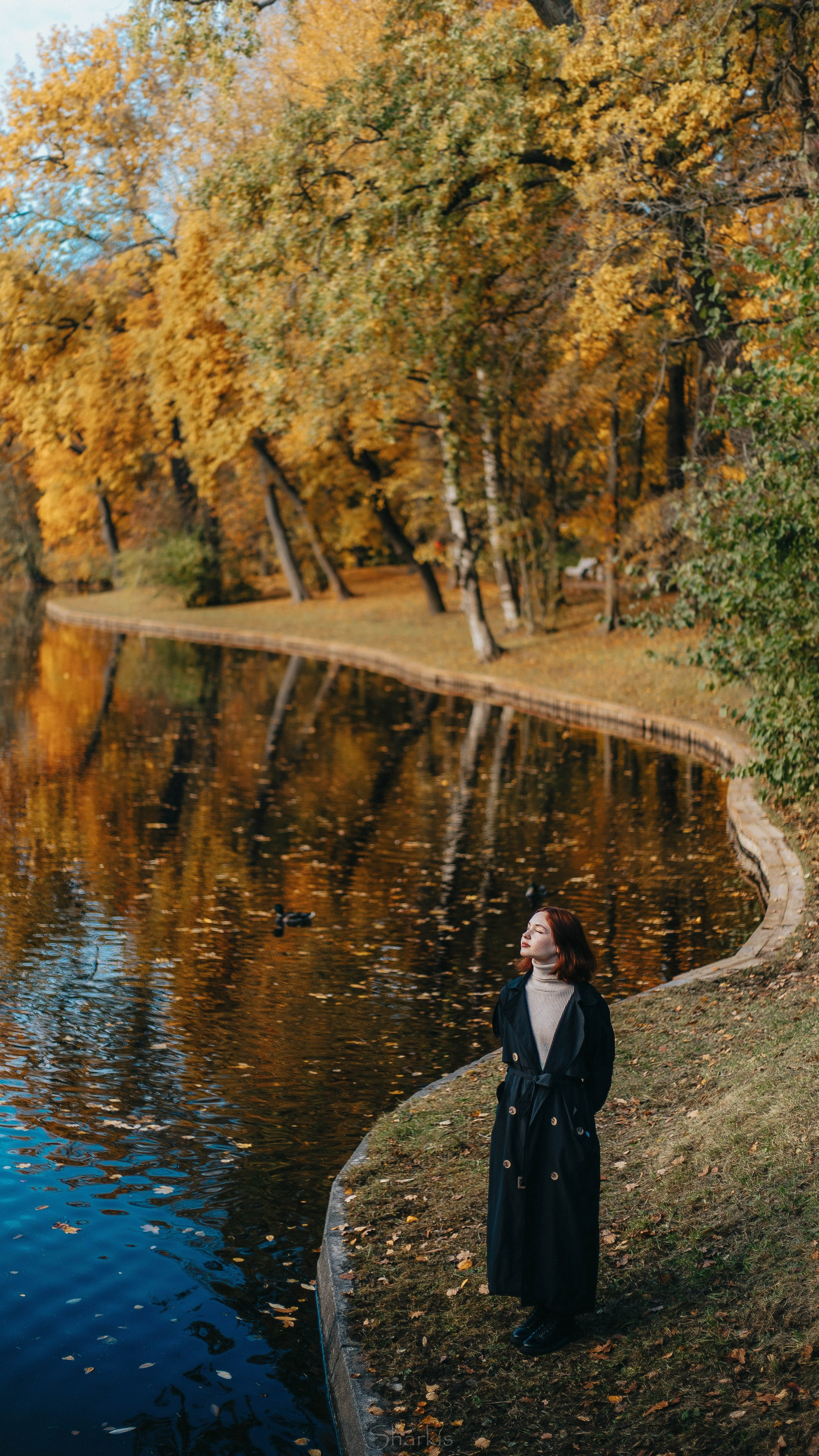 Света. Главная