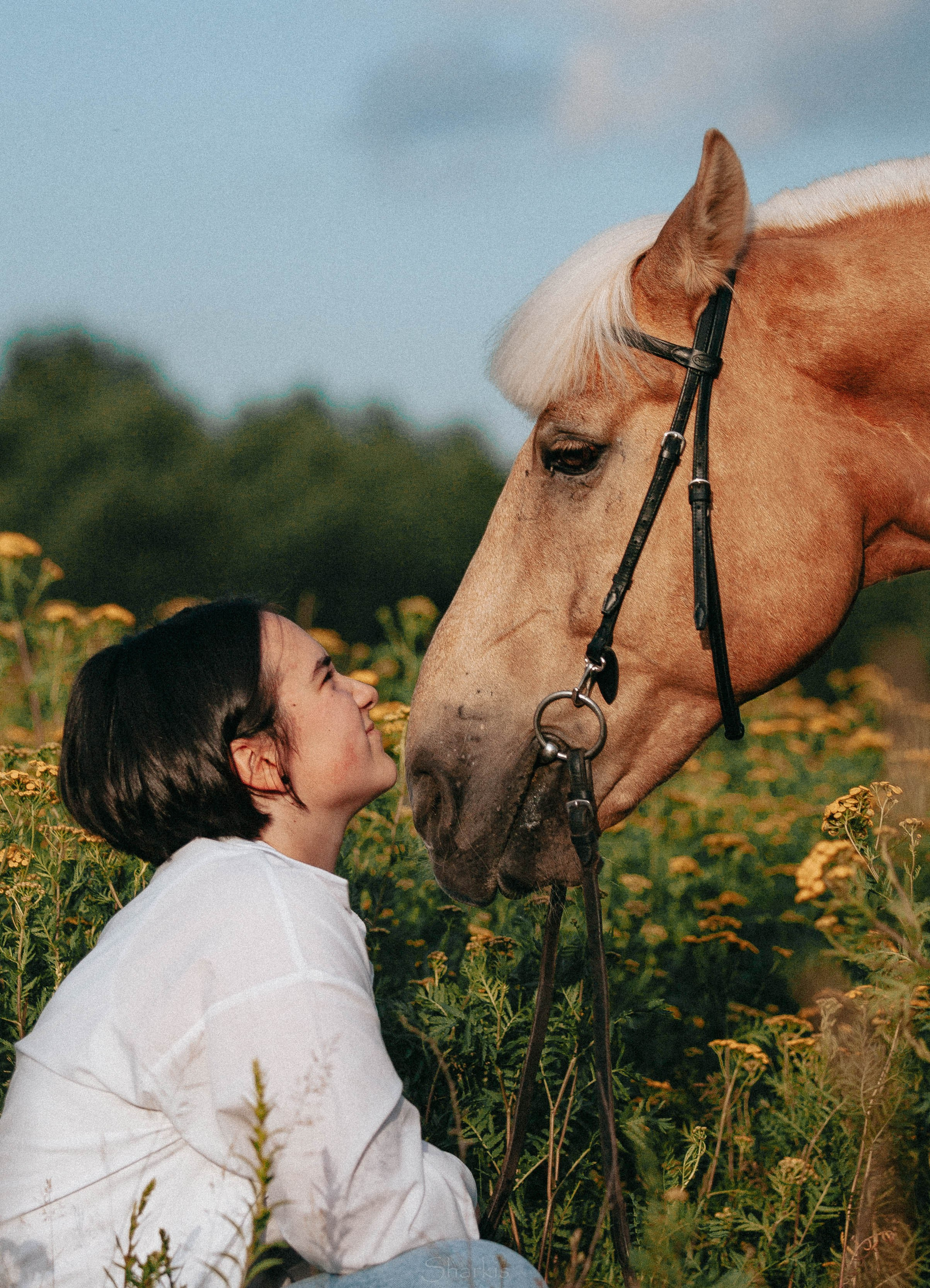 Алина и Гешефт. Главная