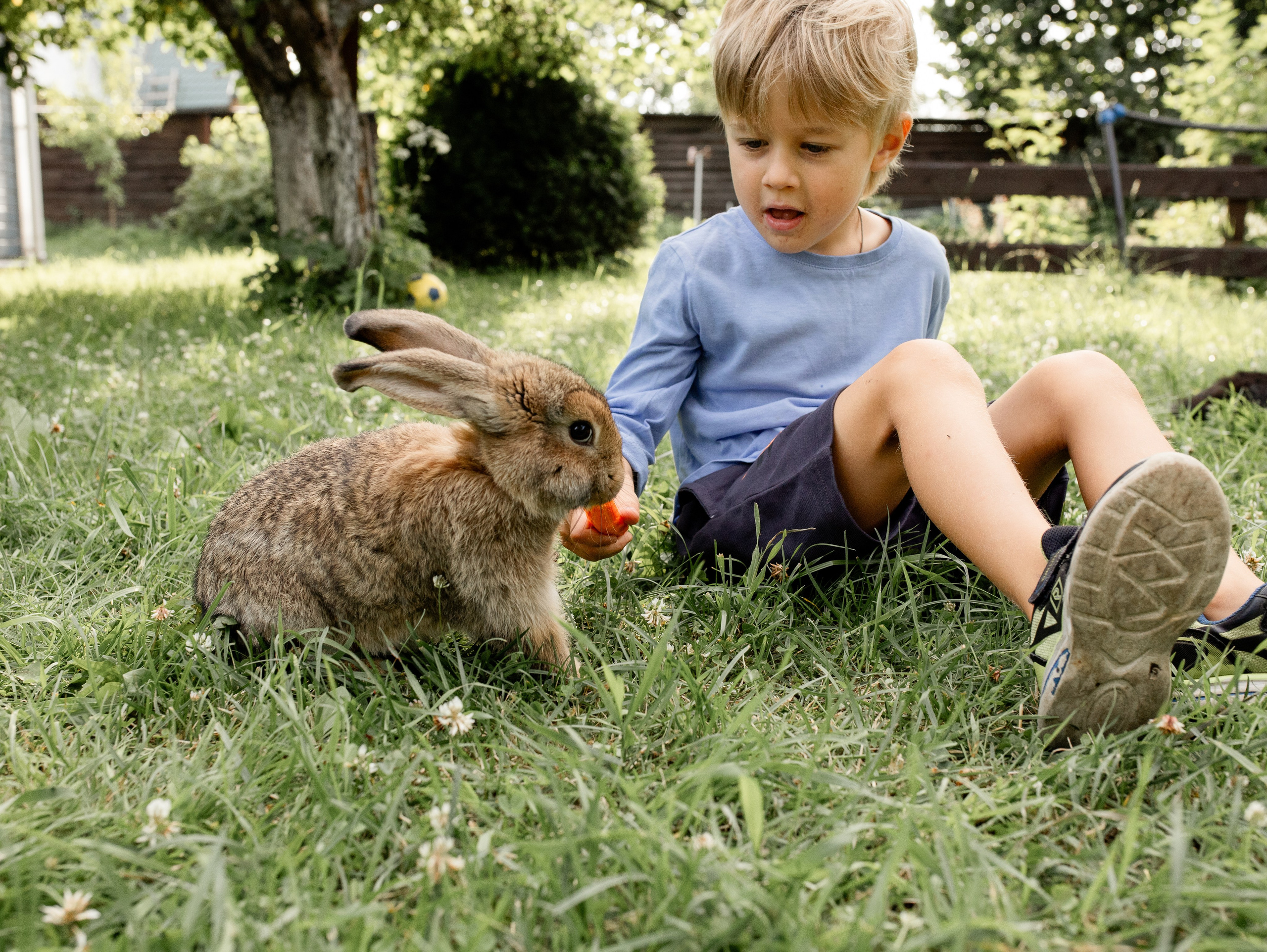 Кролики 2023. Семейный фотограф в Санкт-Петербурге Ирина Иванова