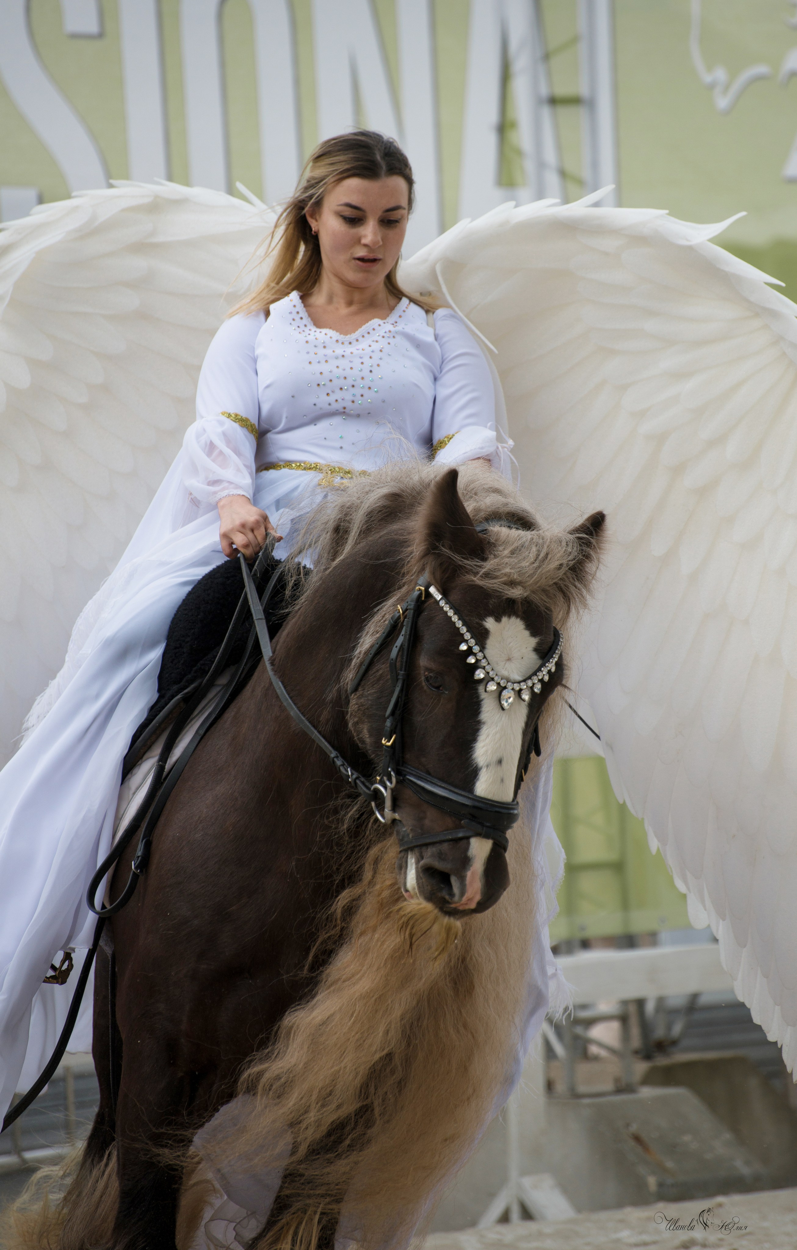 Эквирос, Москва. Конный фотограф в Саратове Юлия Иванова