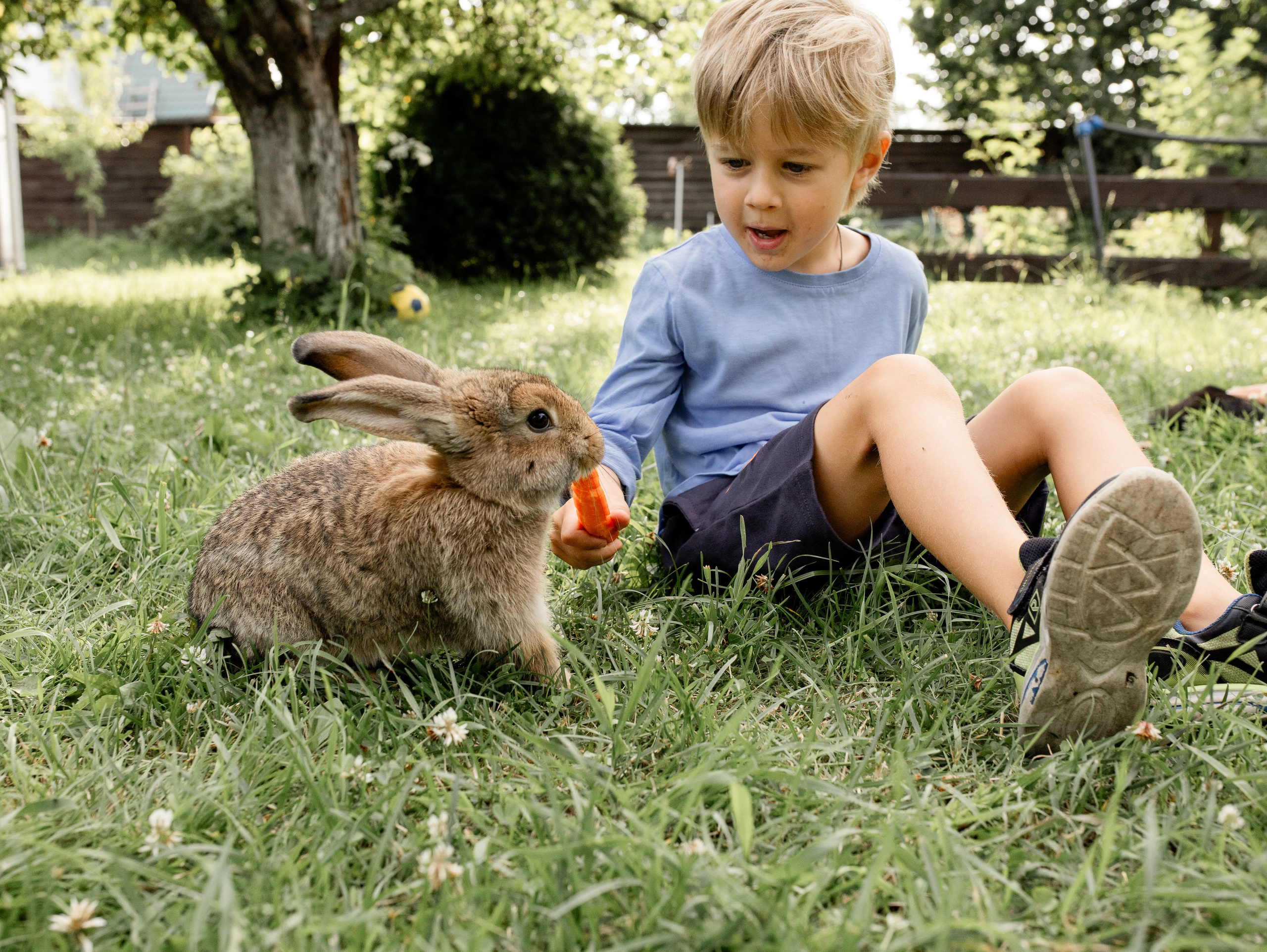 Кролики 2023. Семейный фотограф в Санкт-Петербурге Ирина Иванова
