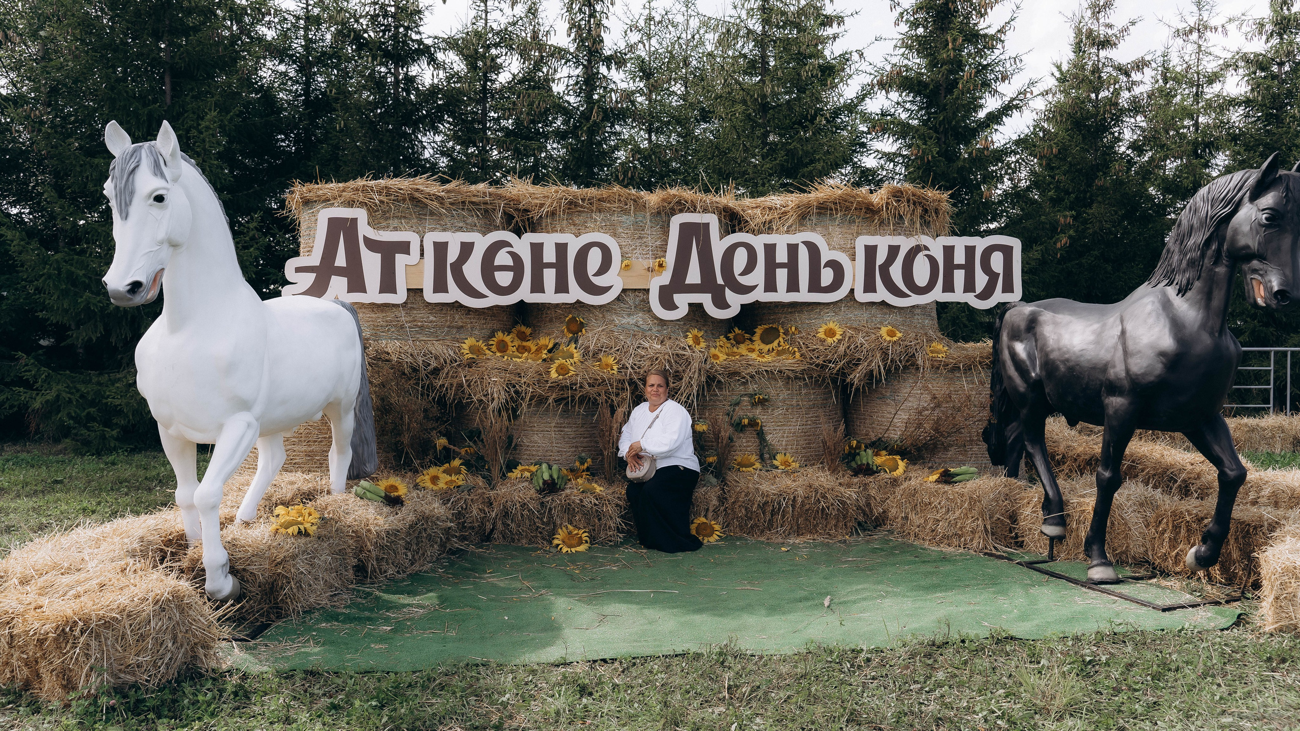 День Коня. Алиса Никитцова | Фотограф в Казани