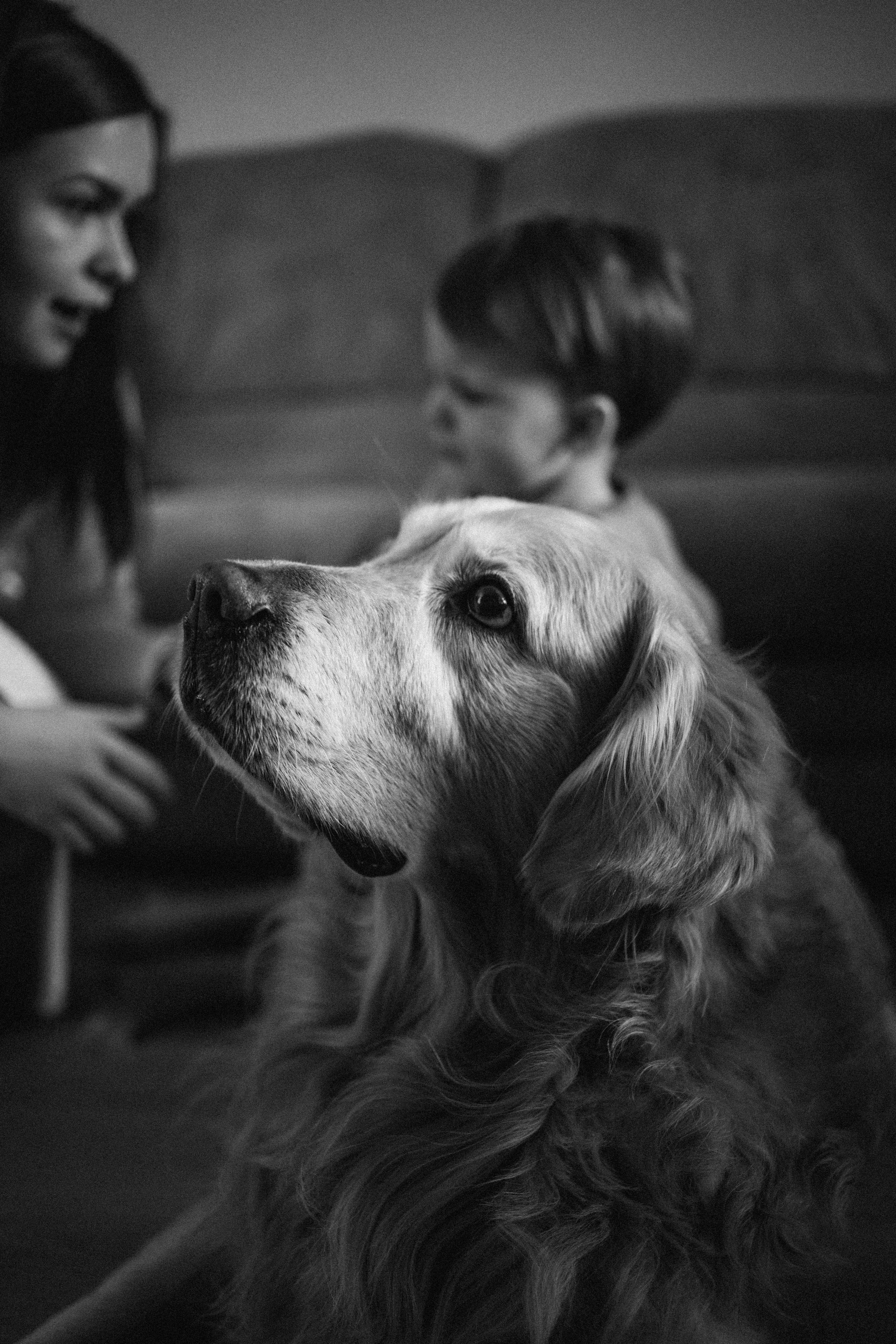 В гостях у Лёвы. Семейный lifestyle фотограф в Казани Ксения Верясова