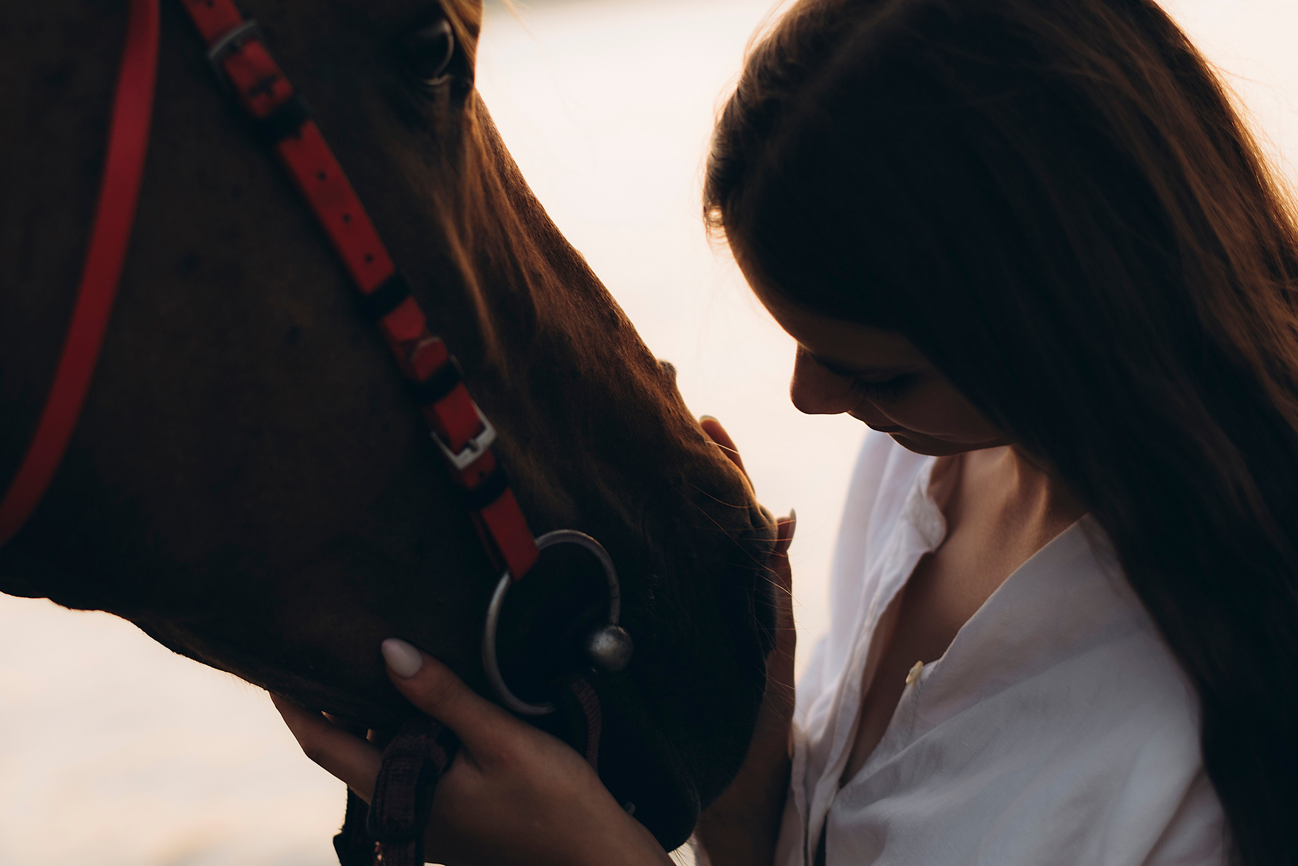Август. Свадебный фотограф Ростов-на-Дону от 4 400 руб. |Кристина Гайсенюк