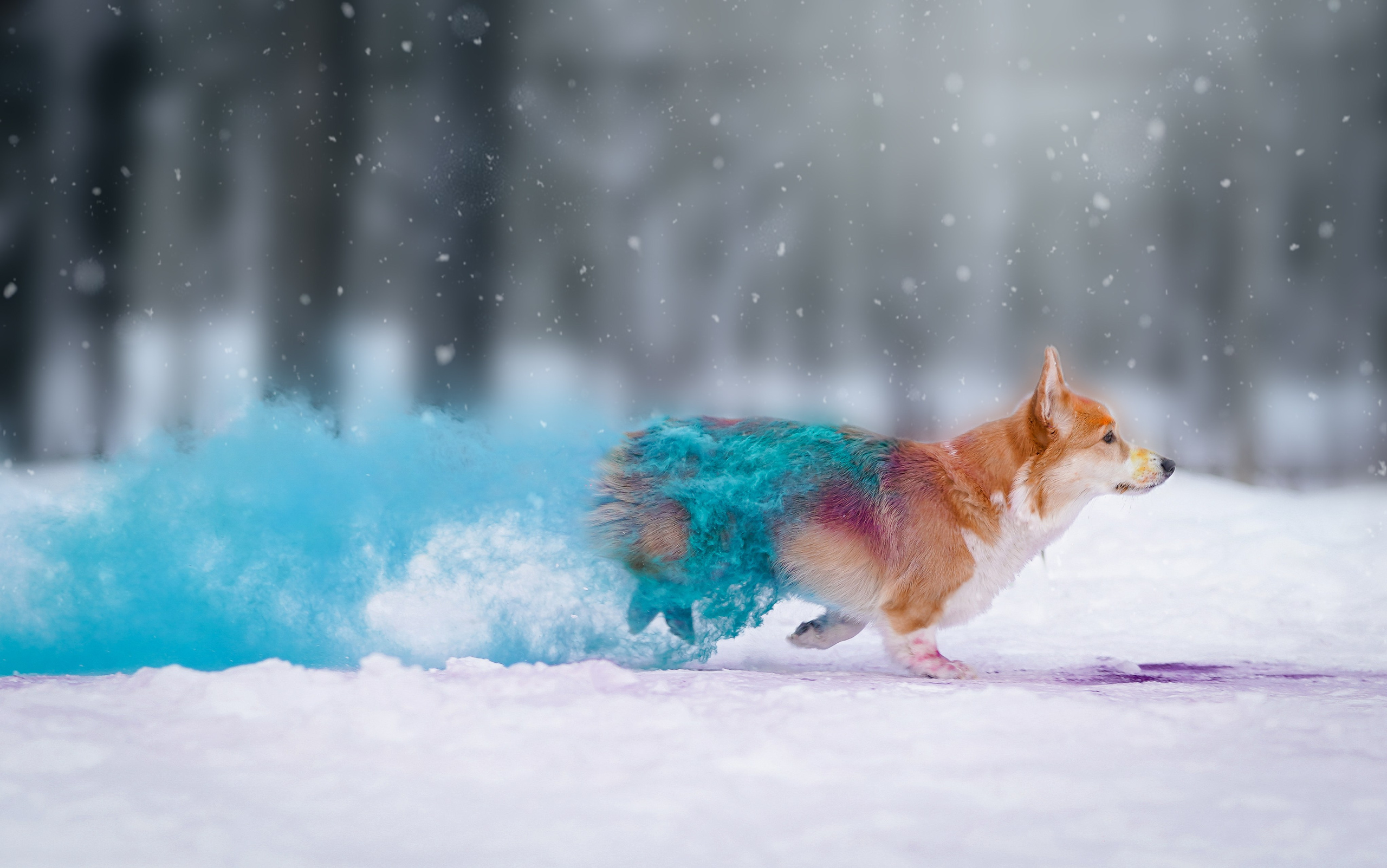 Кристина и Лаки. Фотограф-анималист в Санкт-Петербурге Яна Мартынова