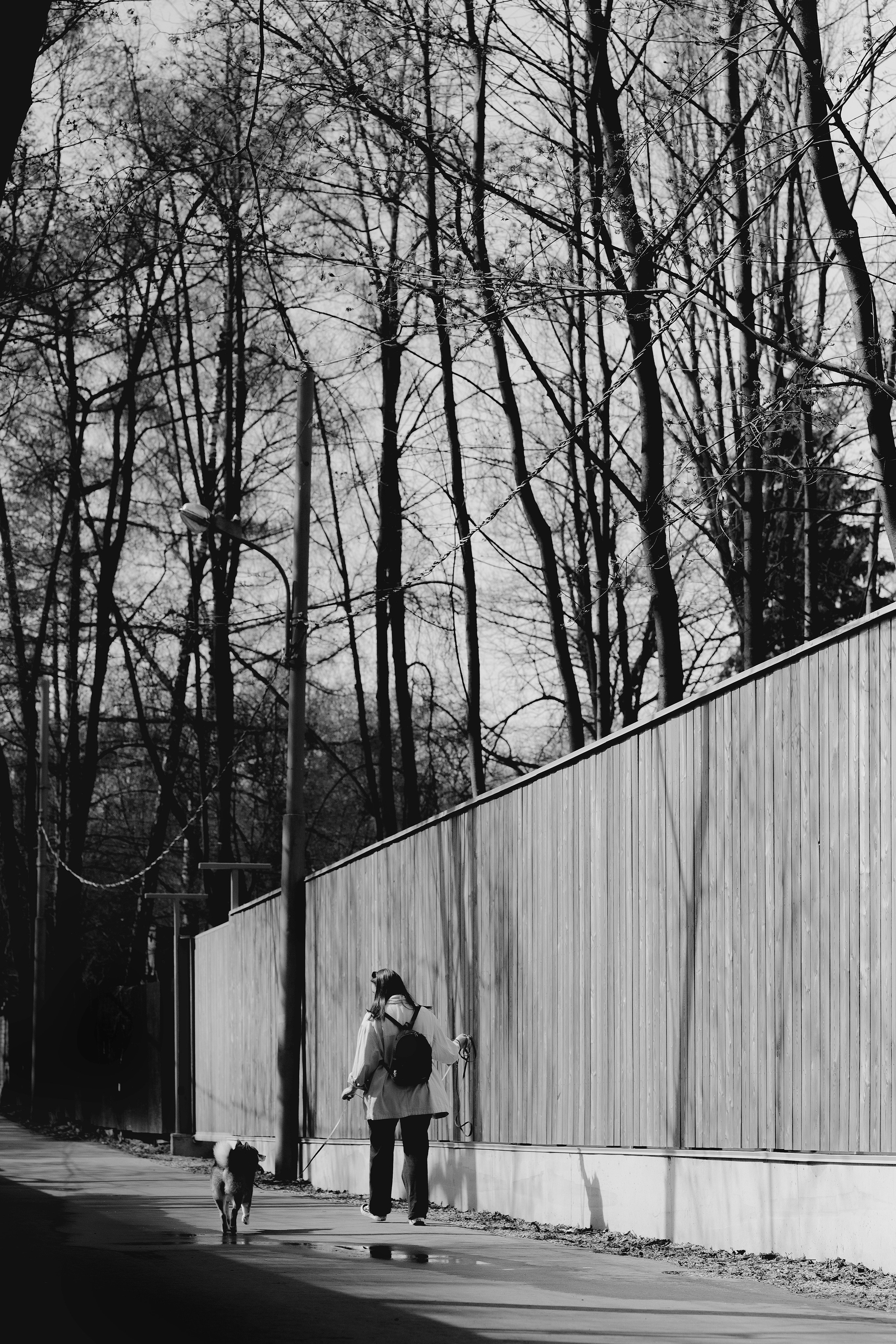 Юнки. Фотограф- анималист Александра Матвеева