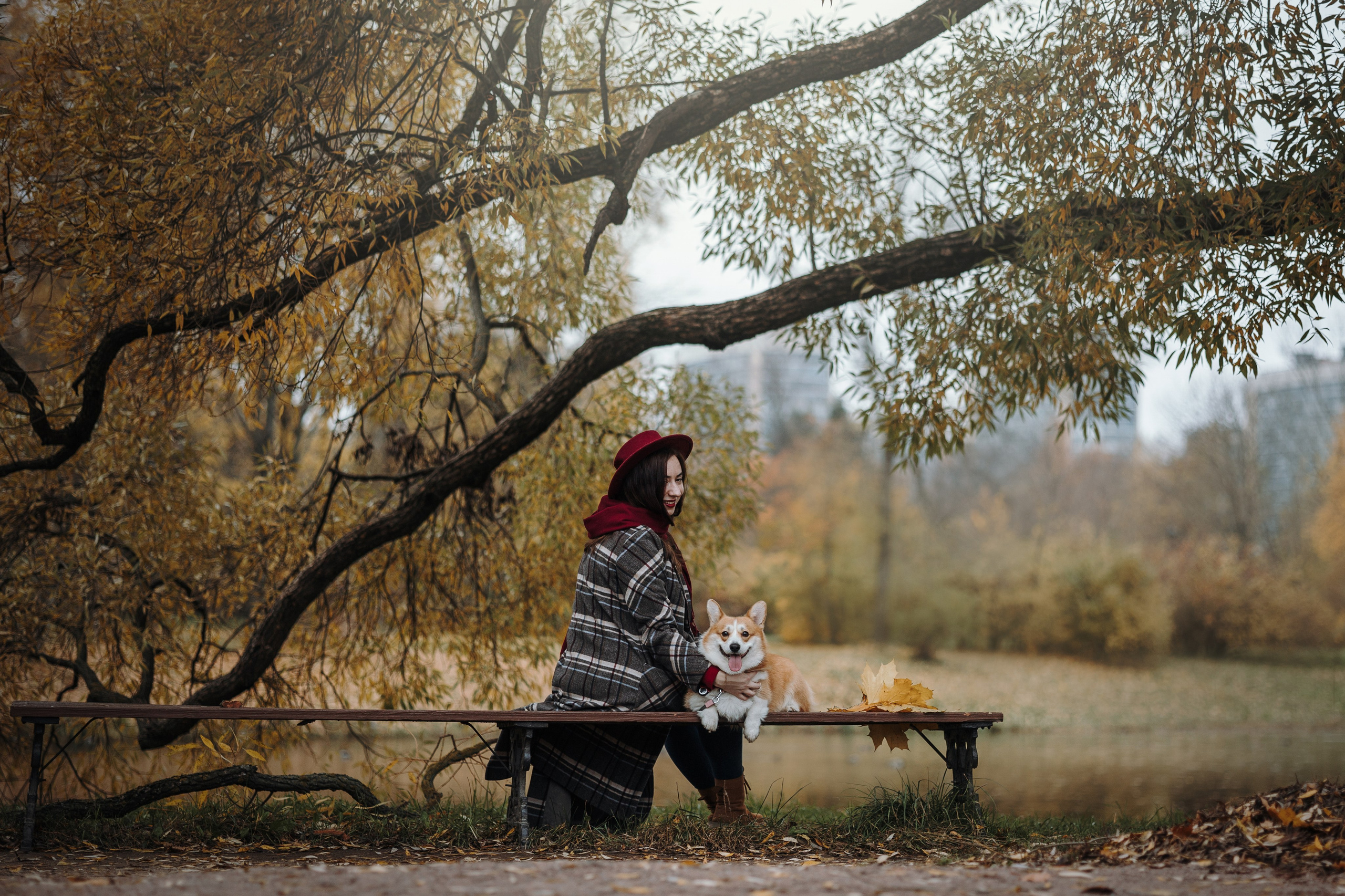 Юля и Терри. Фотограф — Анималист | Санкт-Петербург