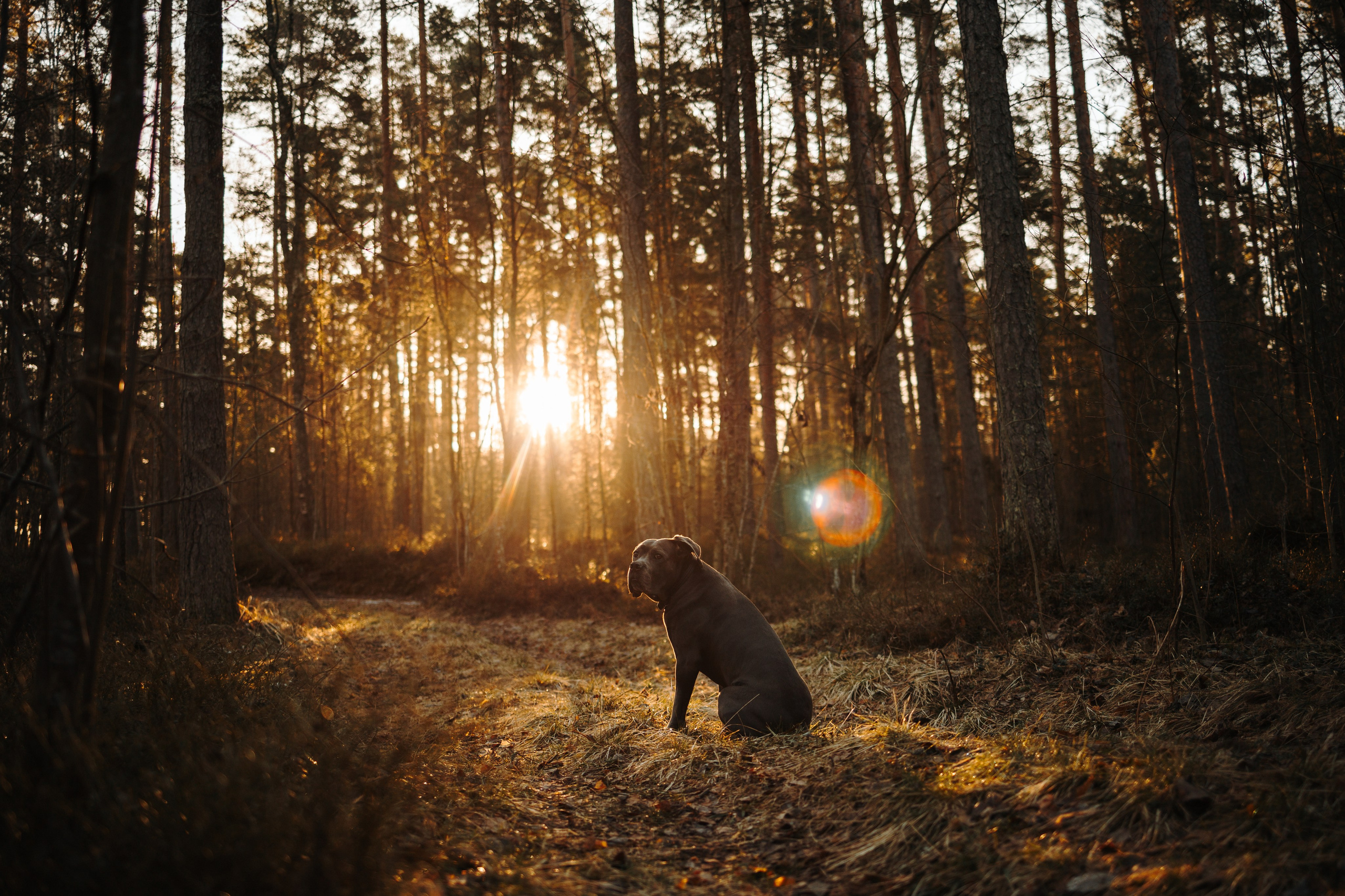 Анна и Лана. Фотограф — Анималист | Санкт-Петербург