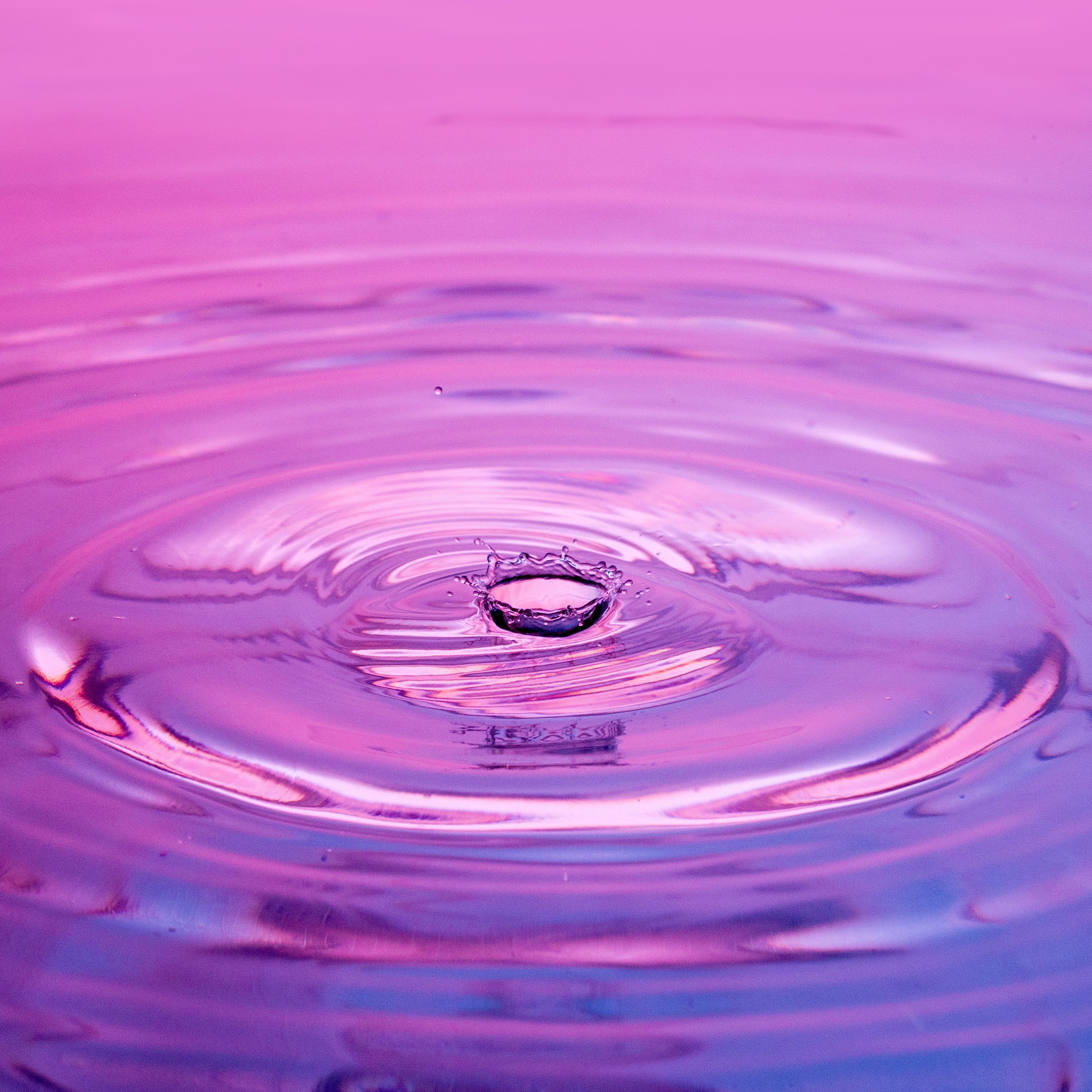 Капли. Фотограф Мария Кольцова