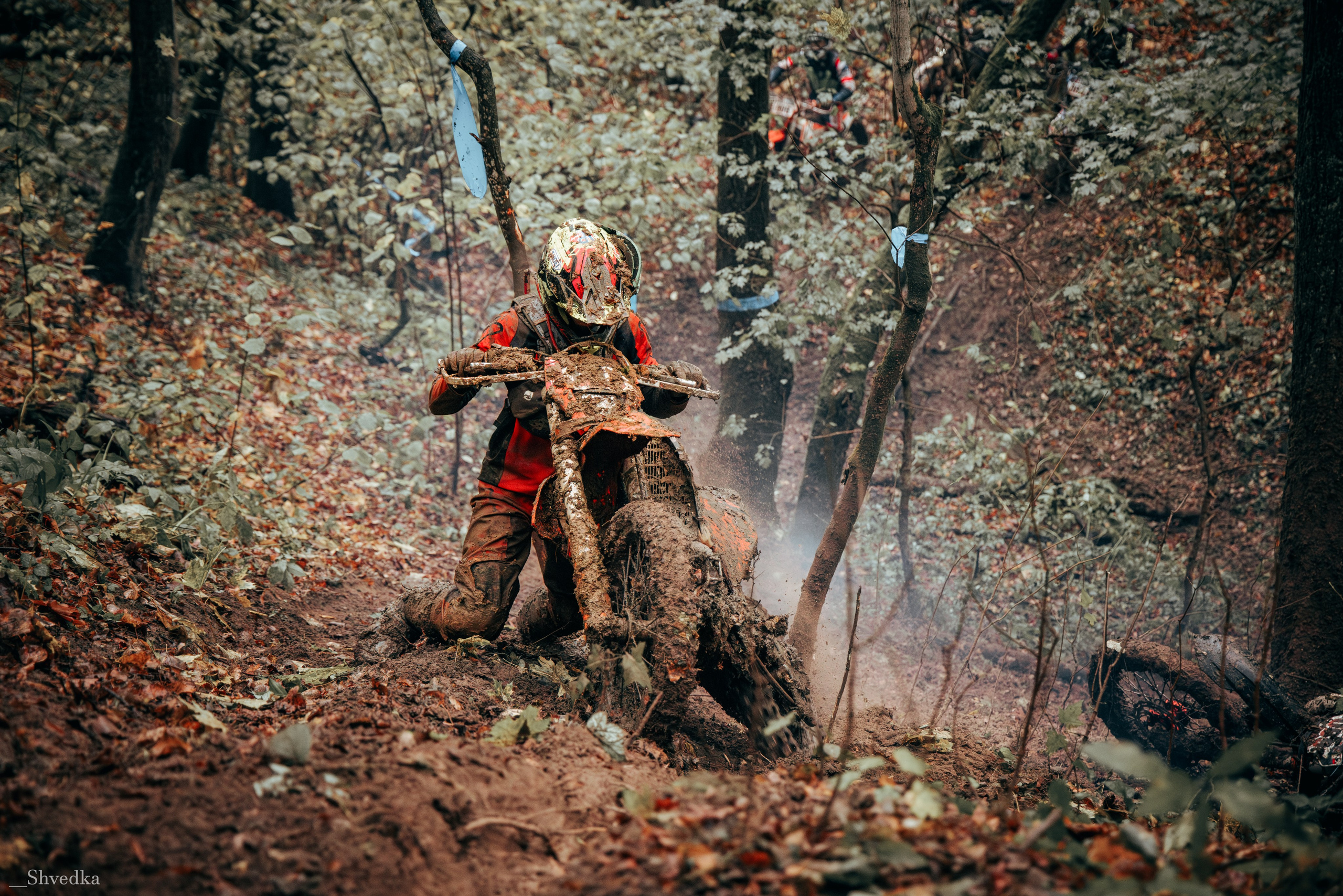 1 день. Ваш экстрим фотограф Кудрева Яна