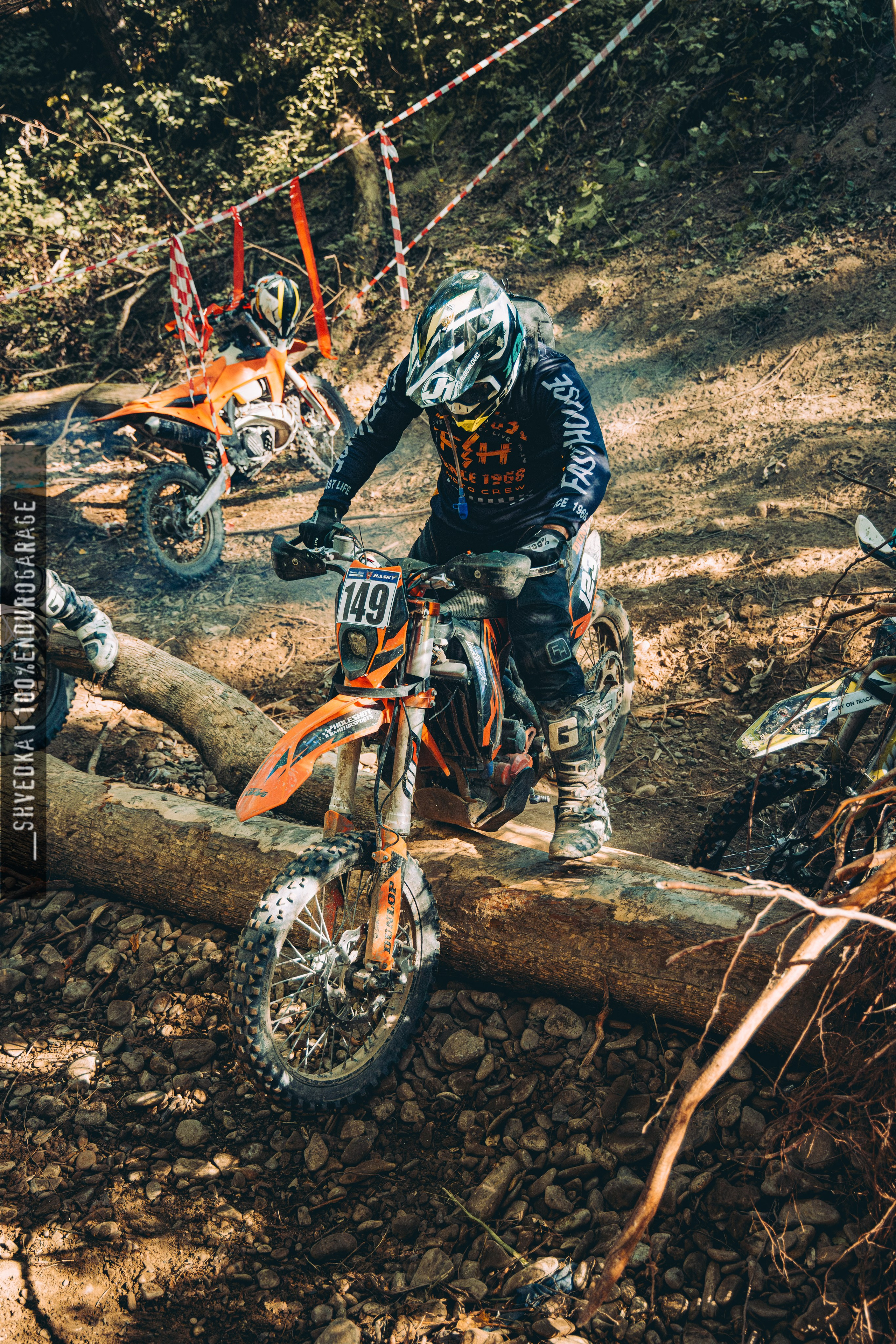 2 лесной день. Ваш экстрим фотограф Кудрева Яна