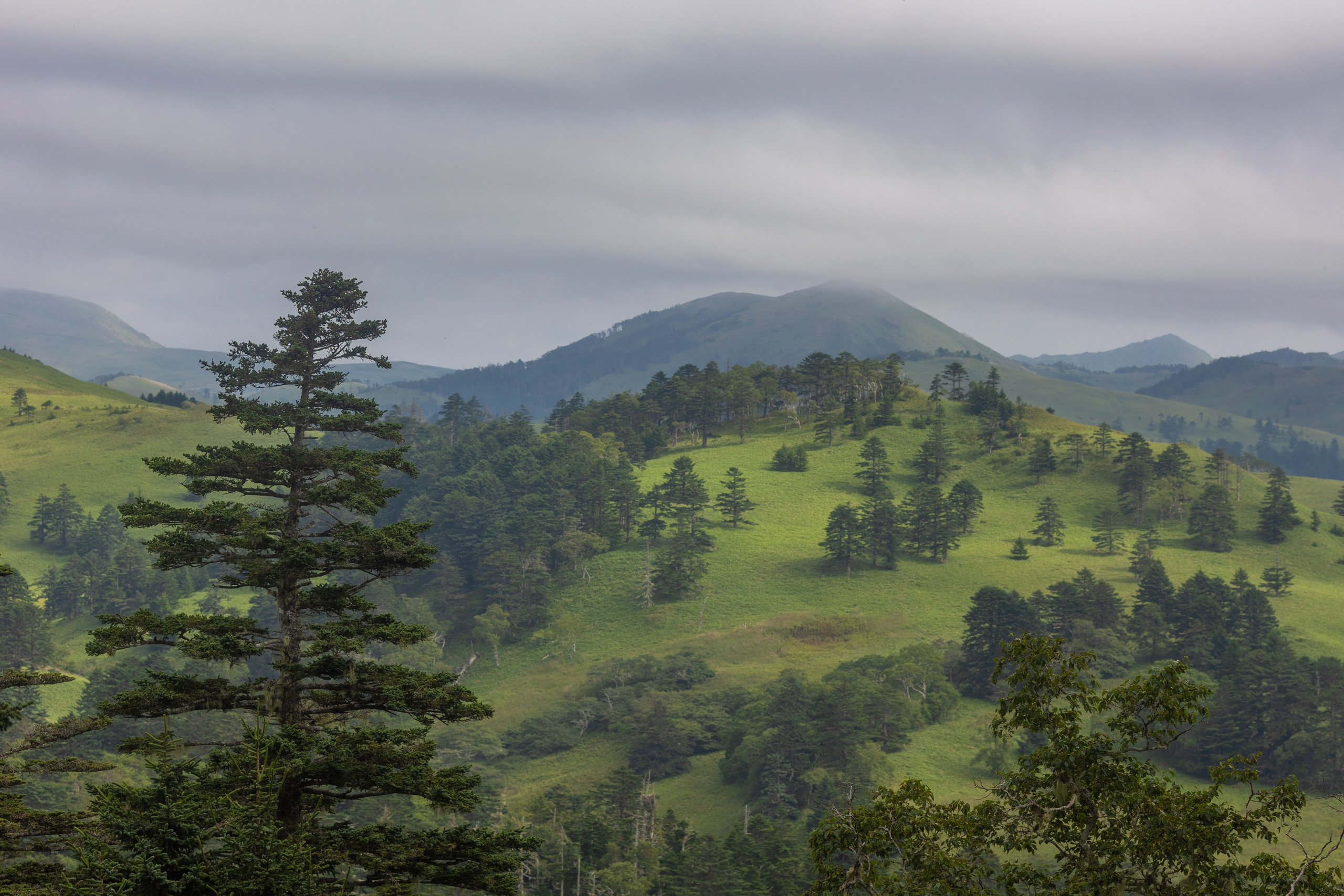 Шикотан. Тревел-фотограф Олег Гуров