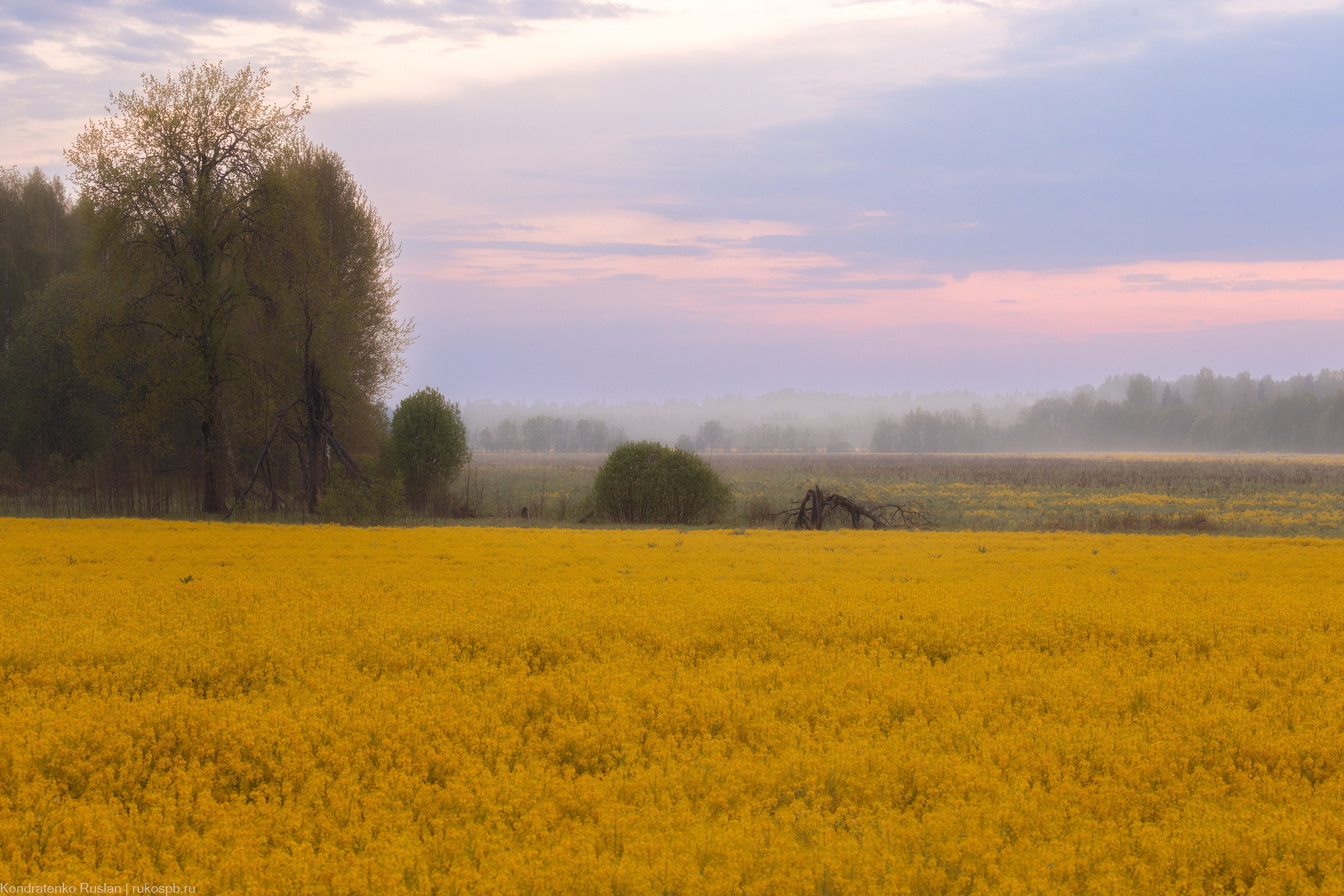 Ленинградская область. Архитектурный и пейзажный фотограф Кондратенко Руслан, Санкт-Петербург