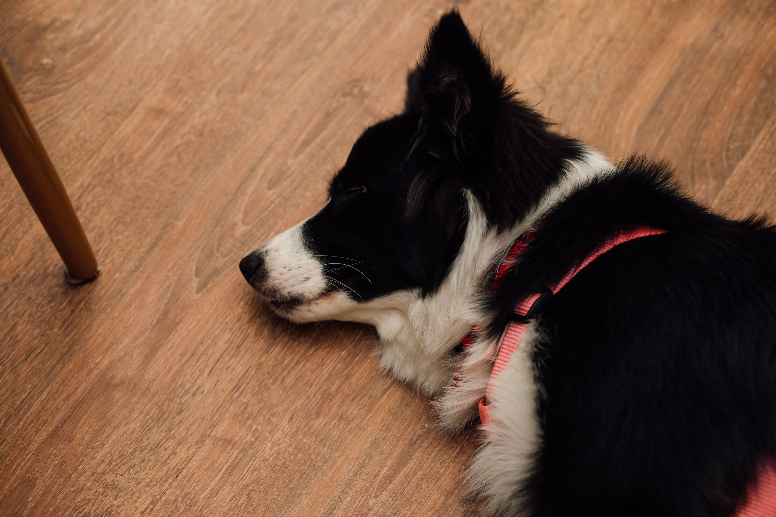 Таня и Миша. Свадьба в лофте. Свадебный и семейный фотограф в Москве Евгения Лисина