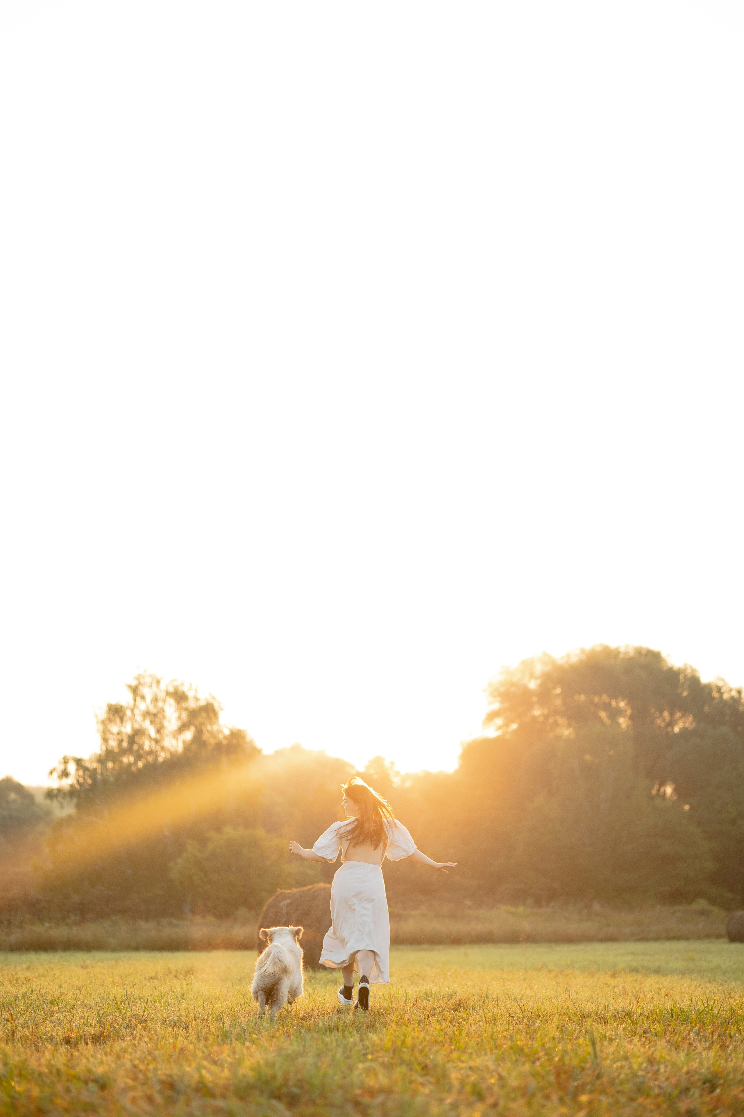 Рассветная съемка с собакой. Анастасия Белаш
