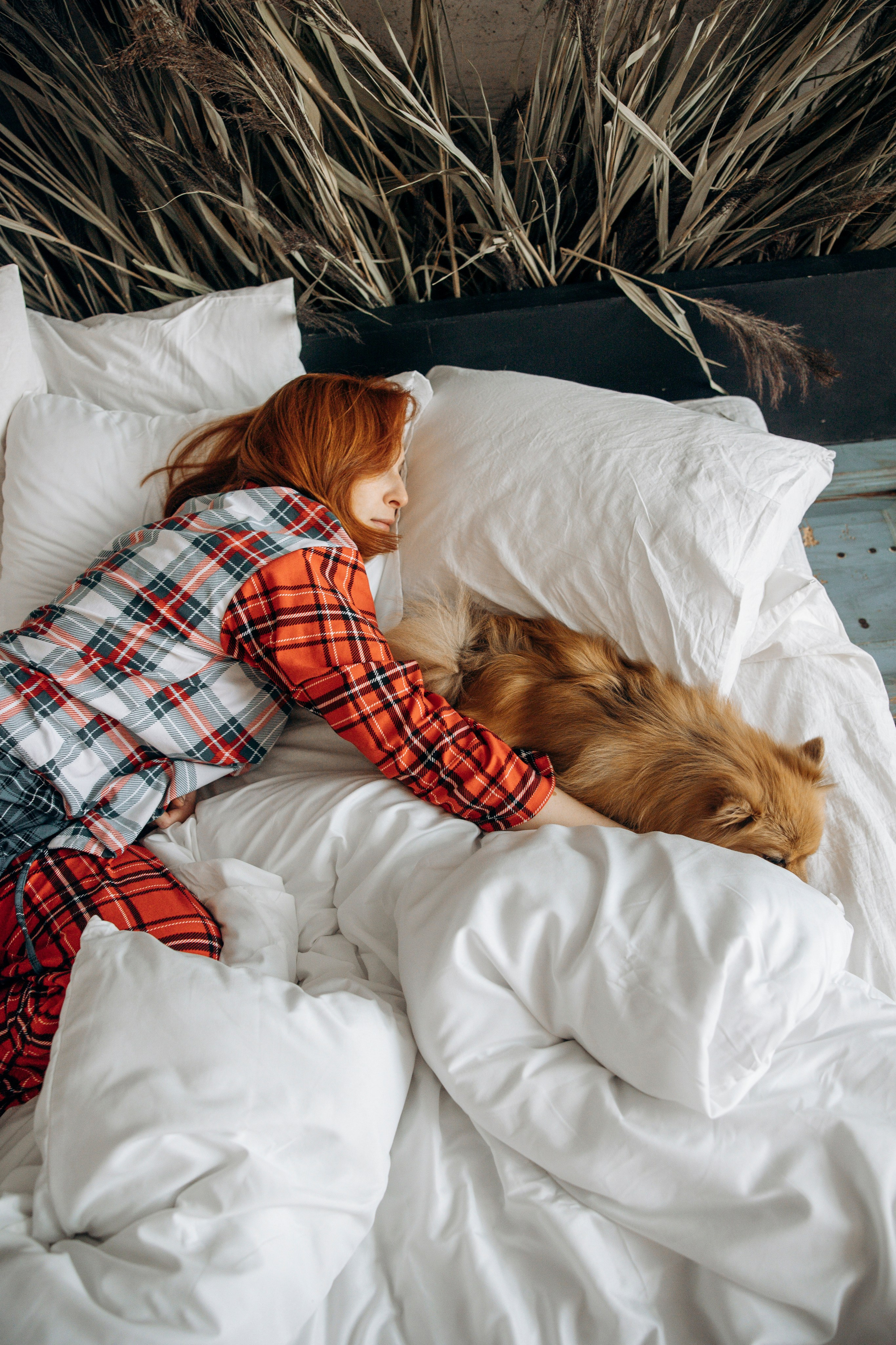 Съемка в студии с собакой. Анастасия Белаш