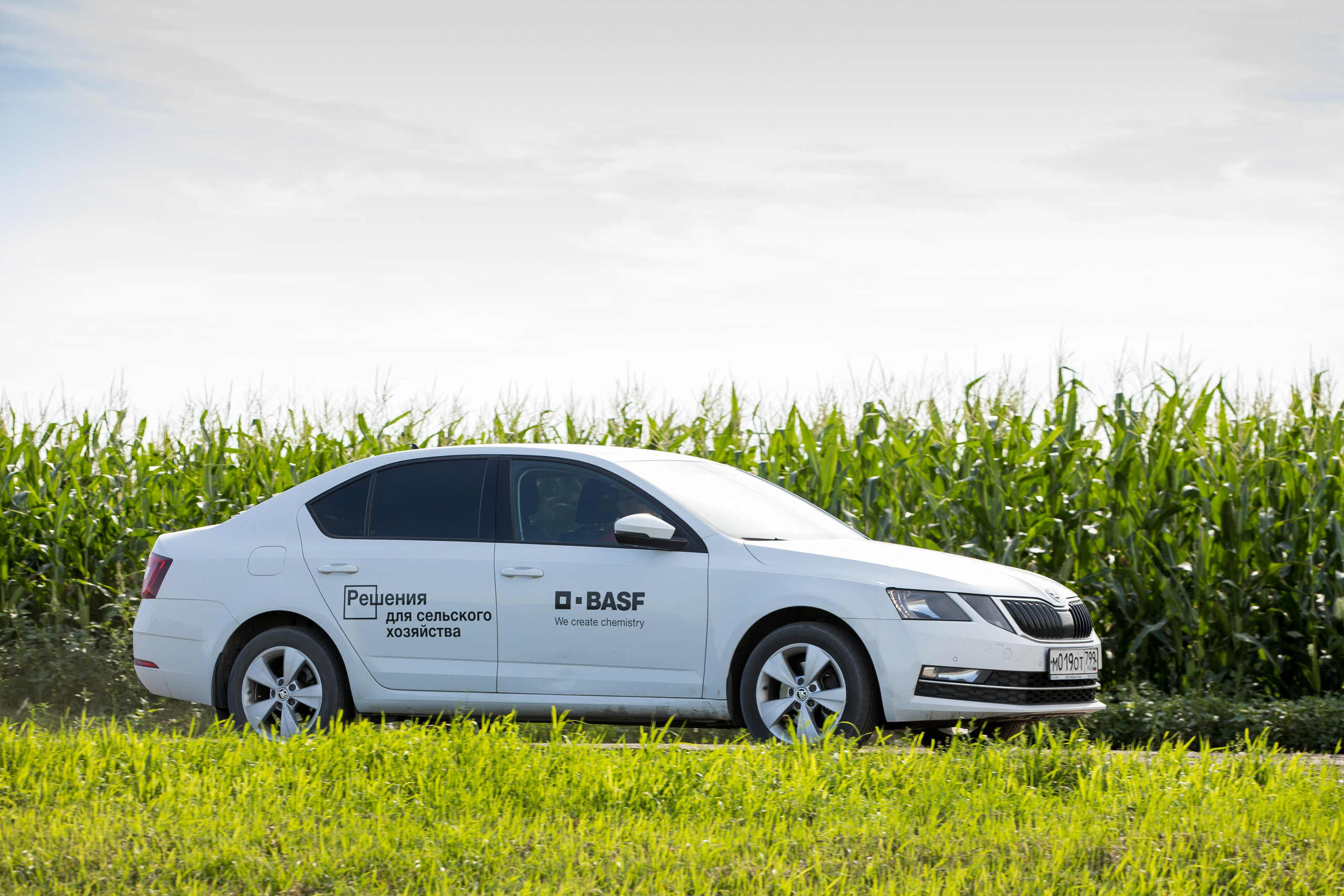 Решения для сельского хозяйства BASF 16.08.2022. Владислав Волков | Фотография и видеосъемка в Воронеже