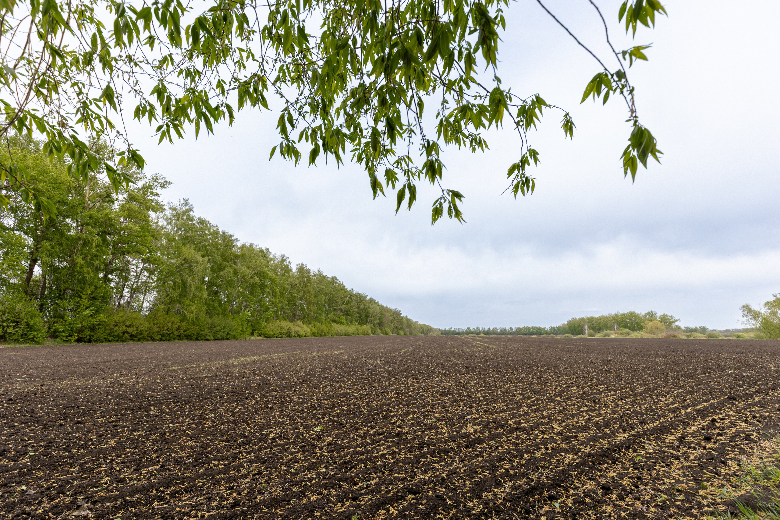 Приусадебный участок. Владислав Волков | Фотография и видеосъемка в Воронеже