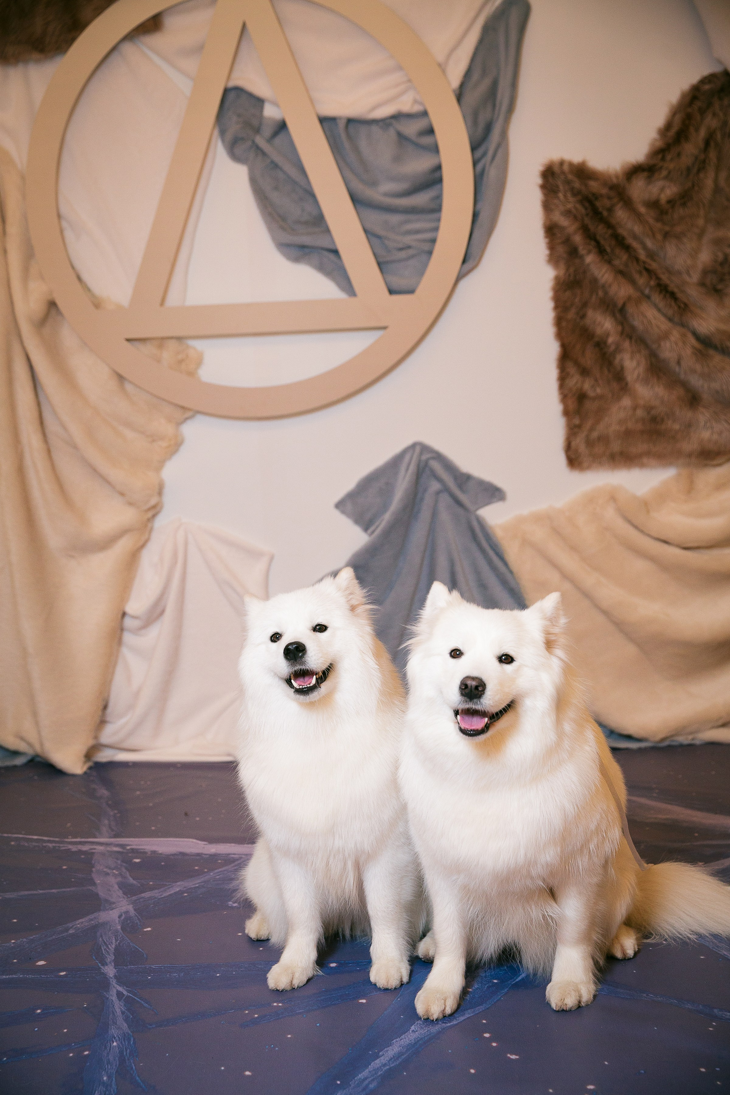 День рождения клуба «Деньги» 6 лет 2025. Репортажный Фотограф Александр Назаров. Москва и М.О