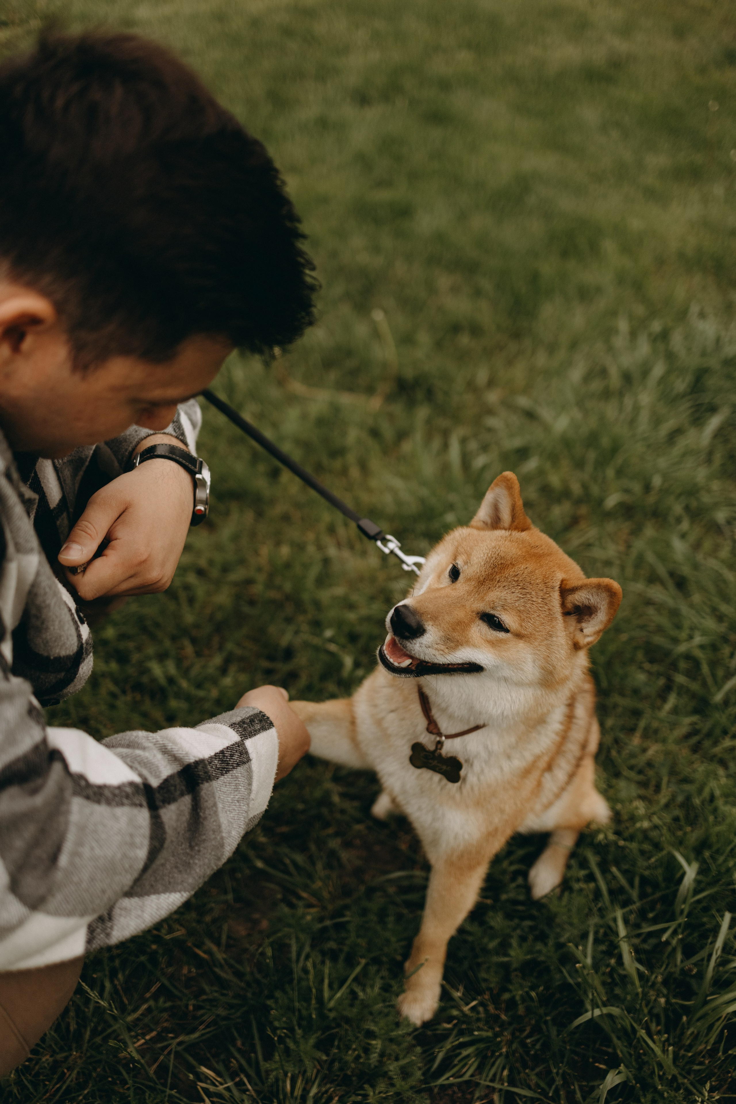 Сириус и его семья. Фотограф — Анималист | Санкт-Петербург
