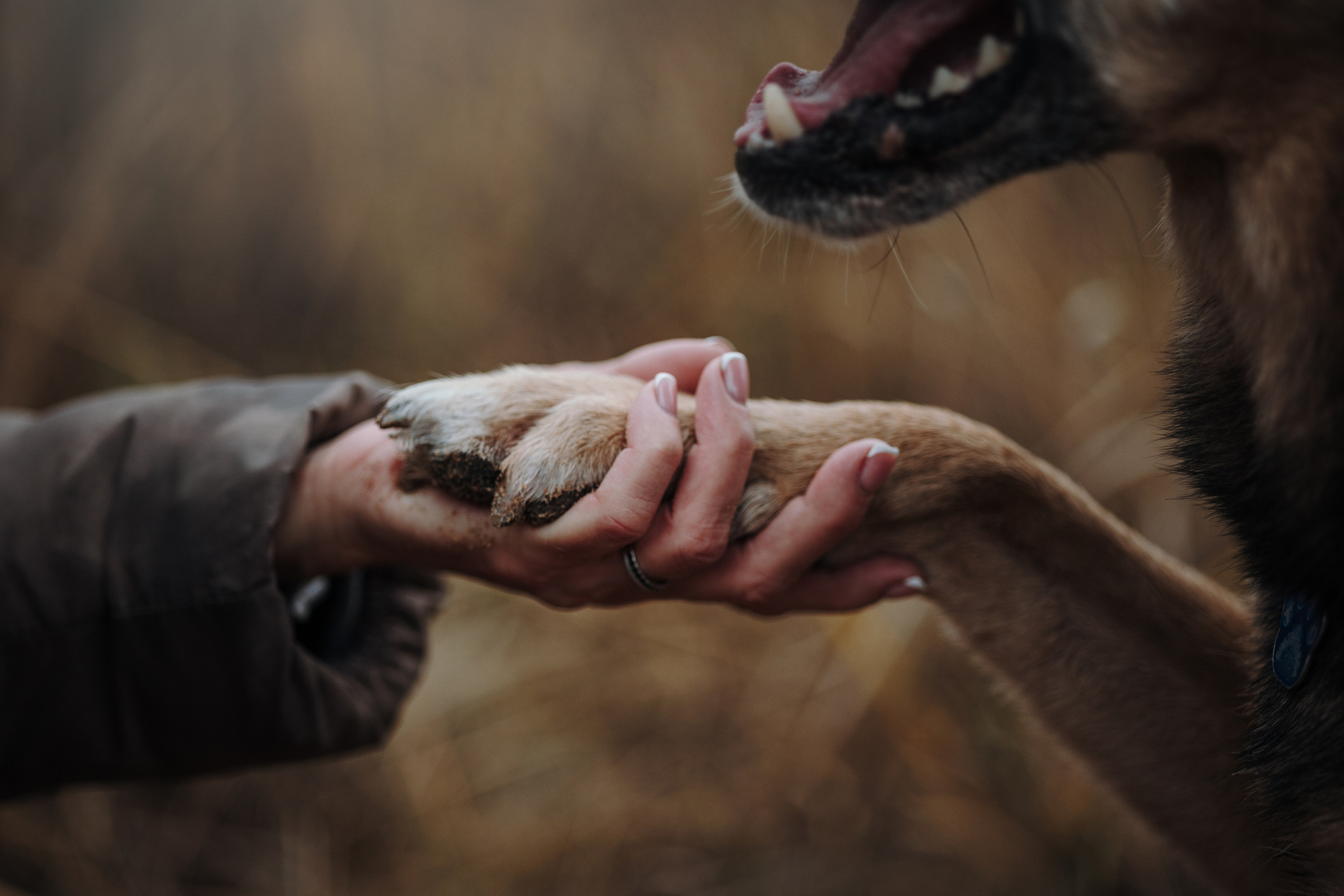 Наталья и Того. Фотограф — Анималист | Санкт-Петербург