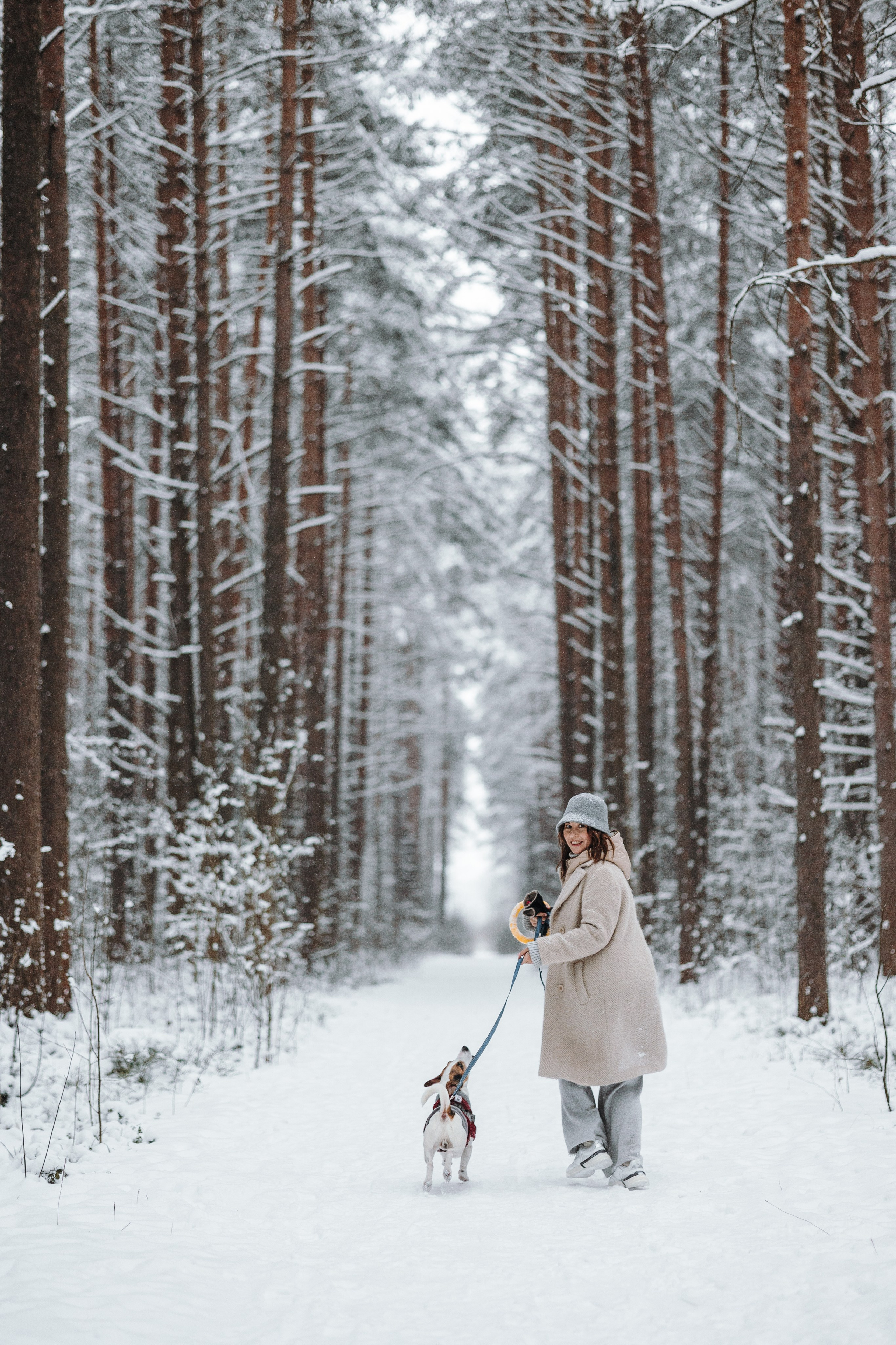 Мики и его семья. Фотограф — Анималист | Санкт-Петербург