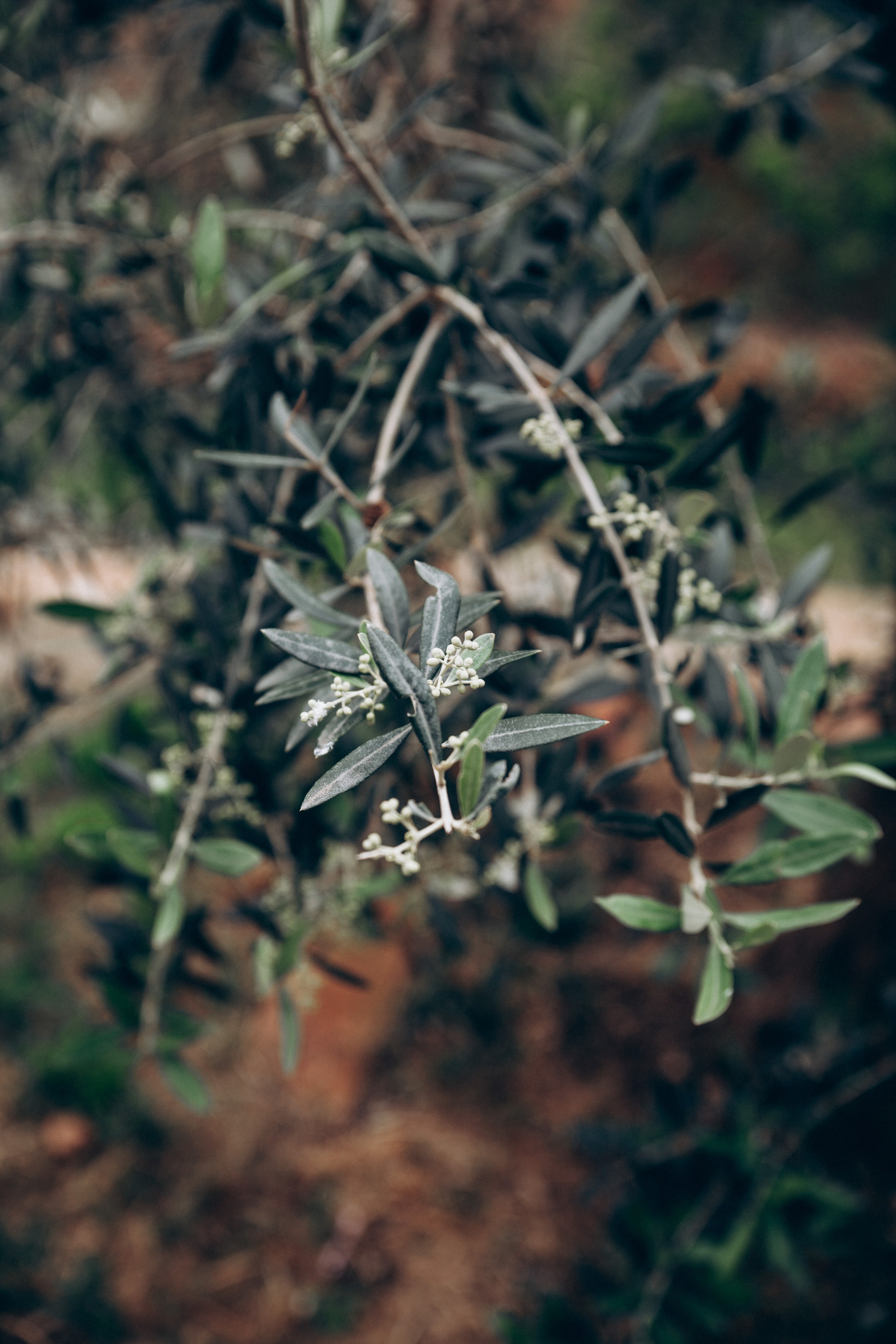 Италия. Репортажный и детский фотограф в Минске