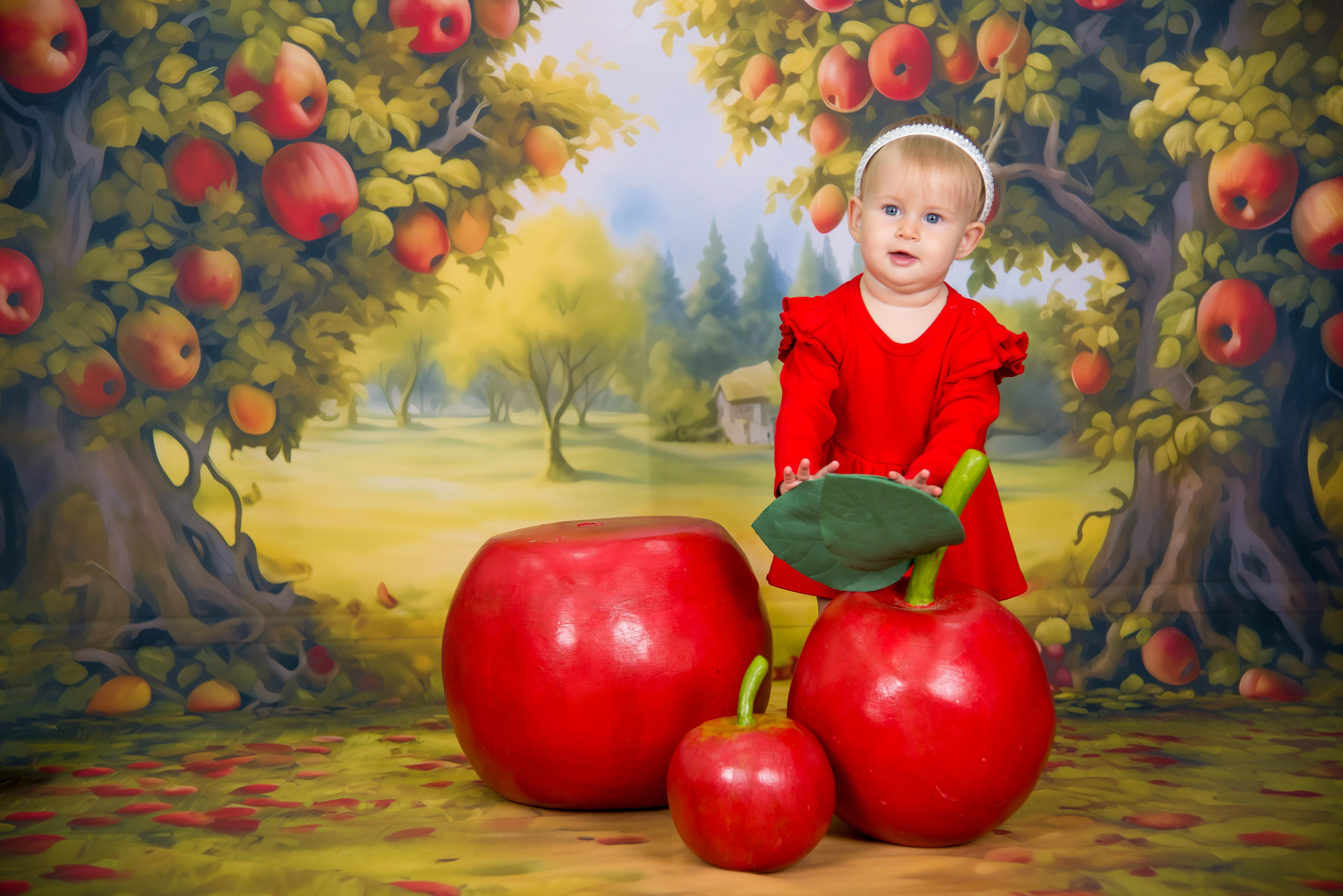 Яблоневый сад. Выпускные альбомы Ярославль