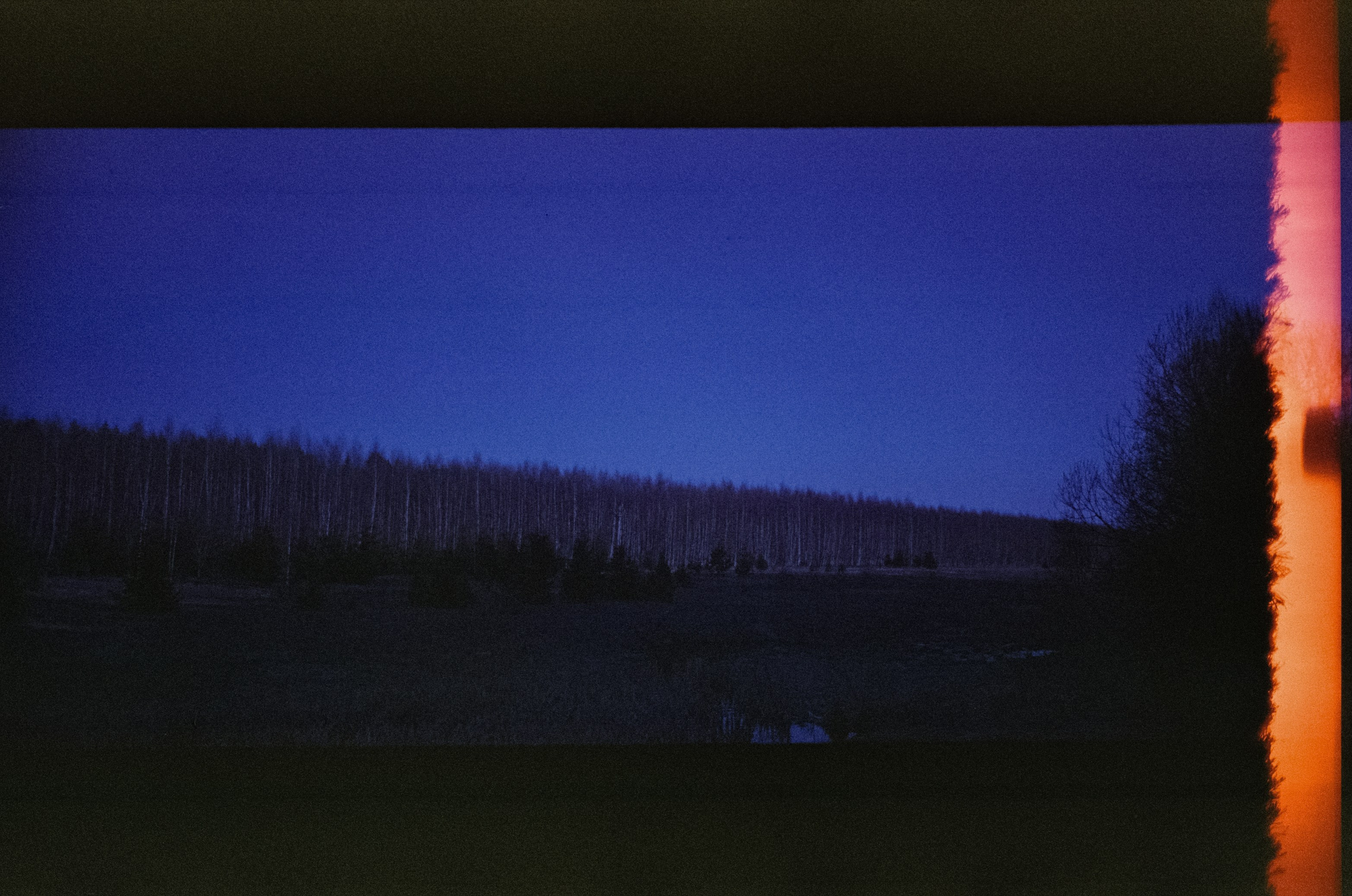 Ricoh R1 | Fujicolor Superia X-tra 400 (просрочка) @ ISO 100