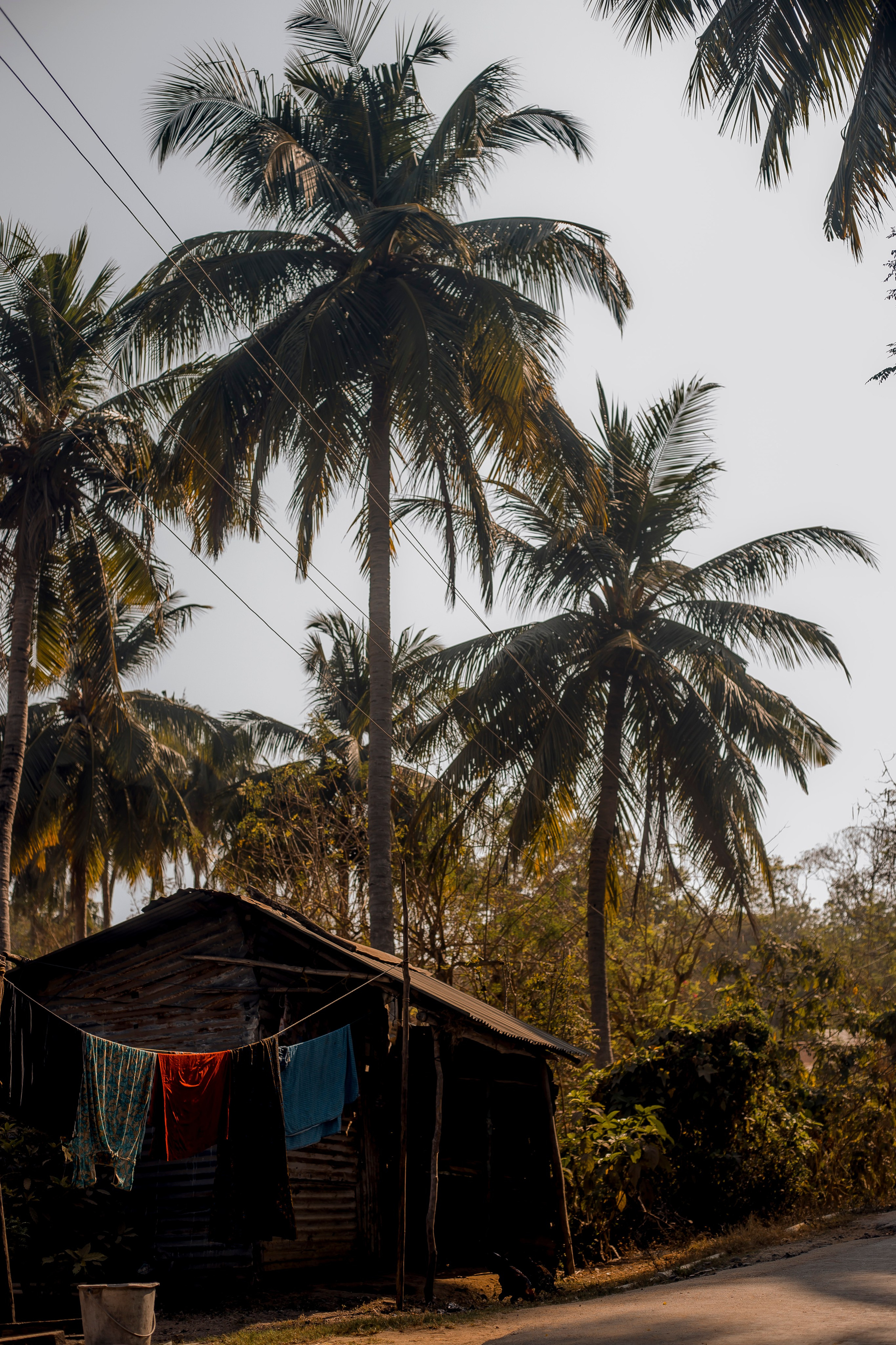 Andaman Islands, Part2. Art Photographer