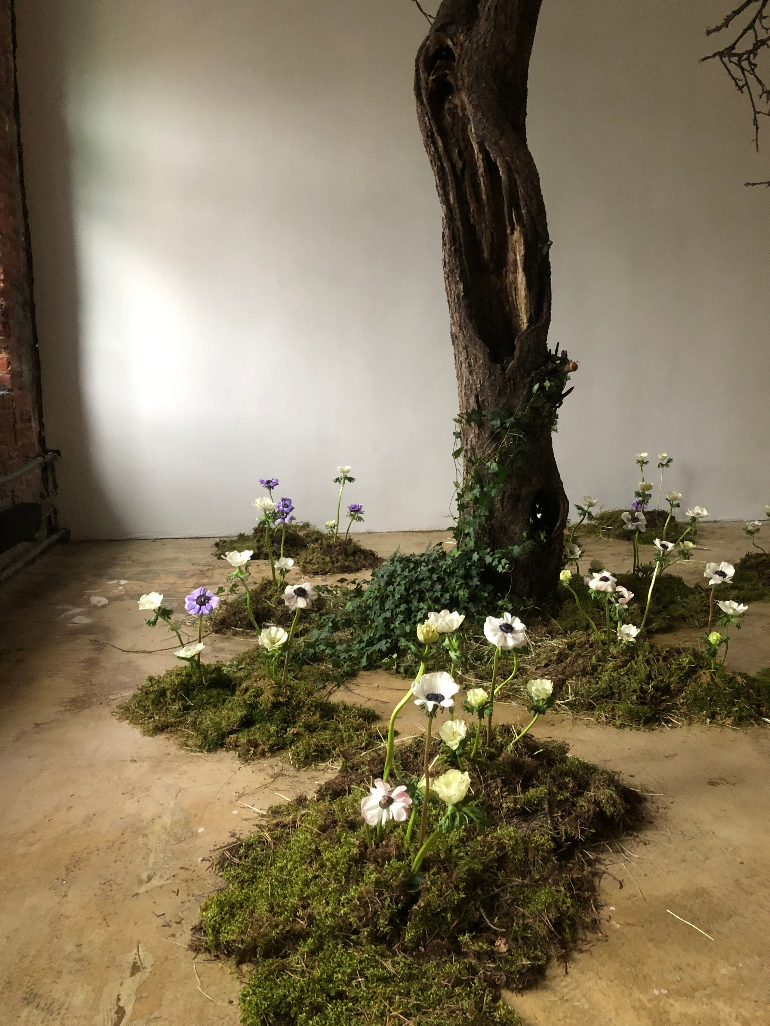 Фотостудия МОХ Зал Сказки. Фотограф Настя Лев