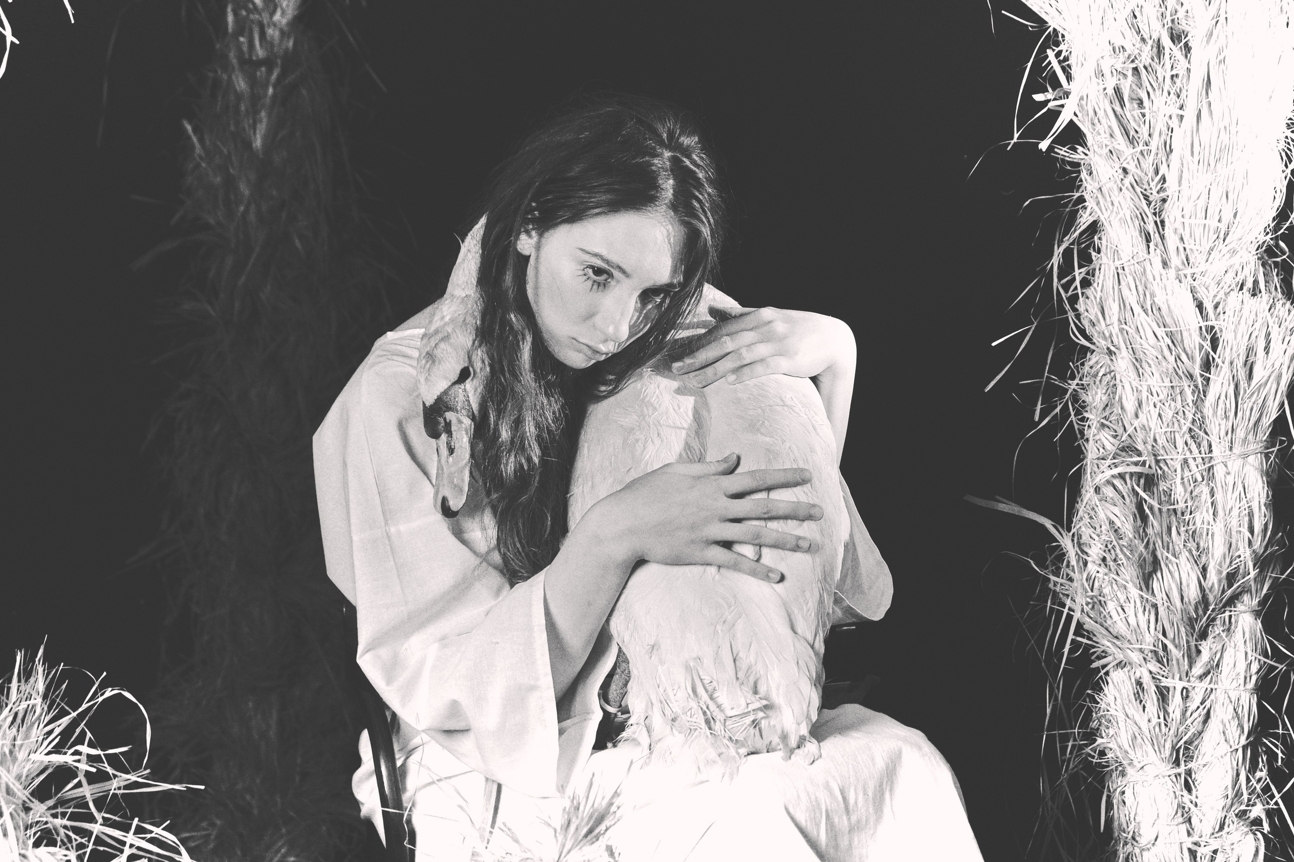 Гуси Лебеди. Фотограф Настя Лев